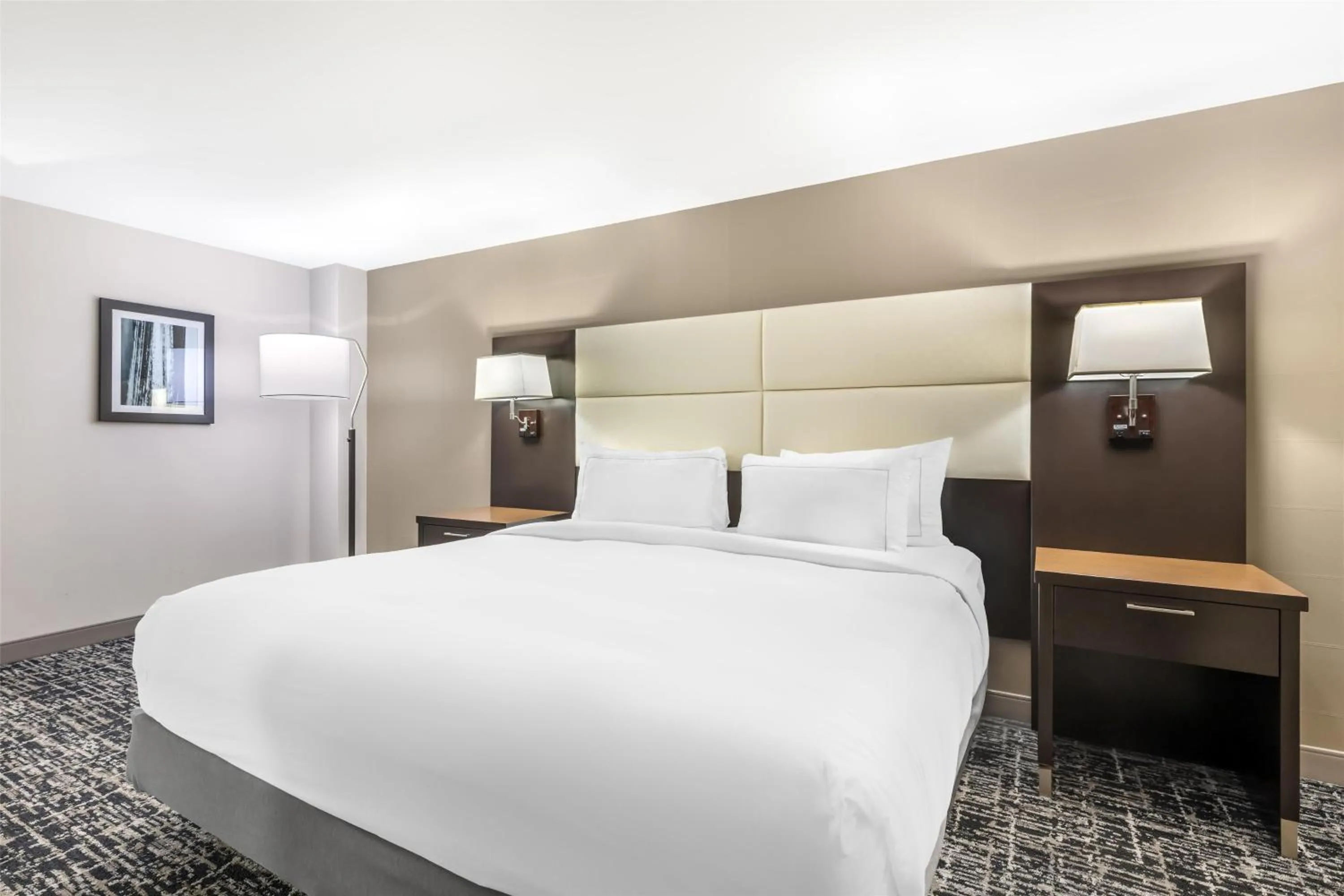 Bed in Doubletree by Hilton Hotel Williamsburg