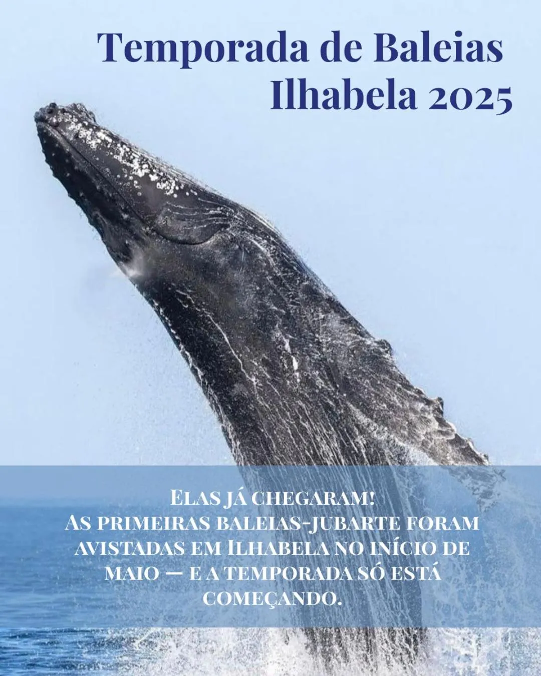 Vila Bambu Ilhabela, Santa Tereza