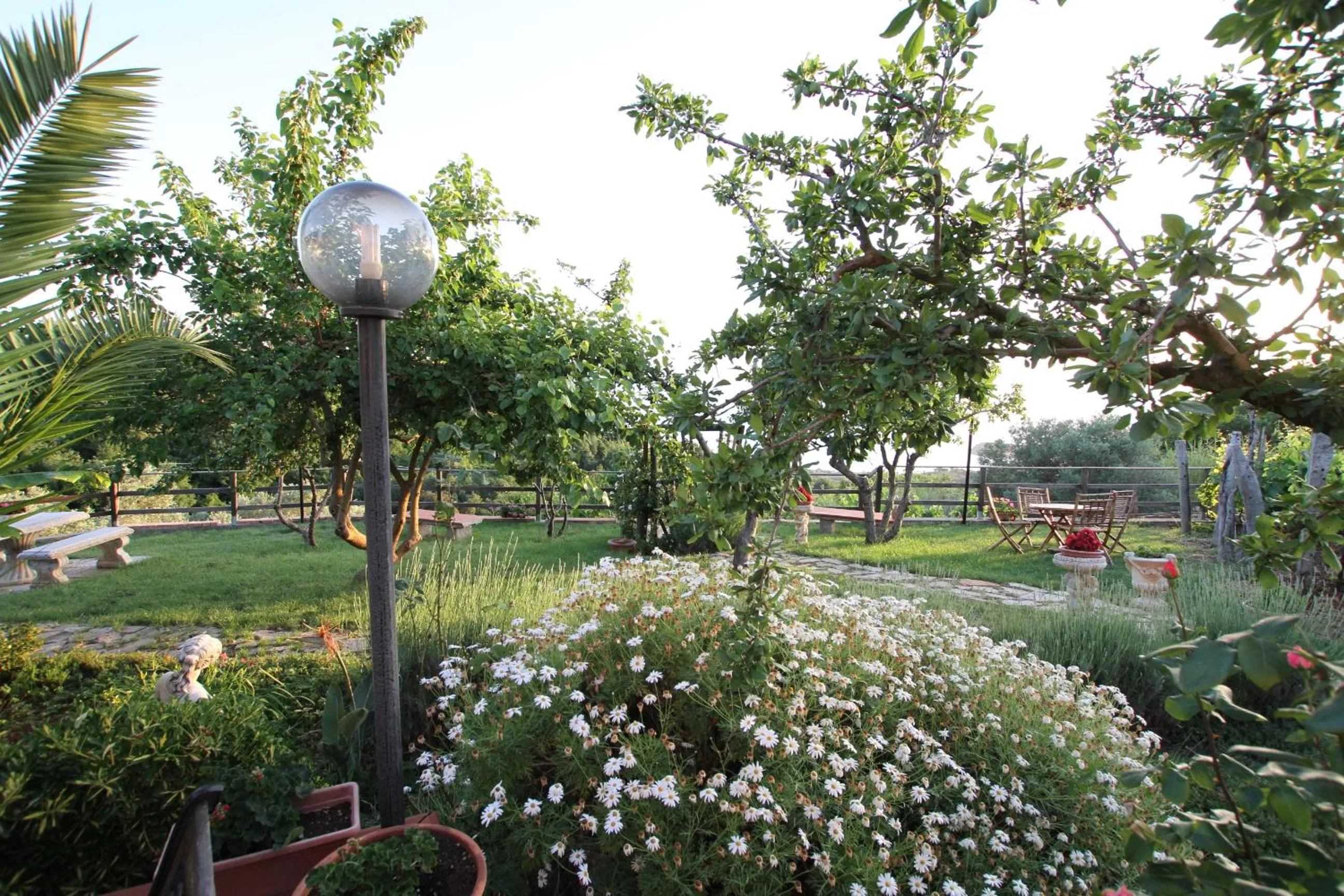 Garden in B&B la Sirenetta