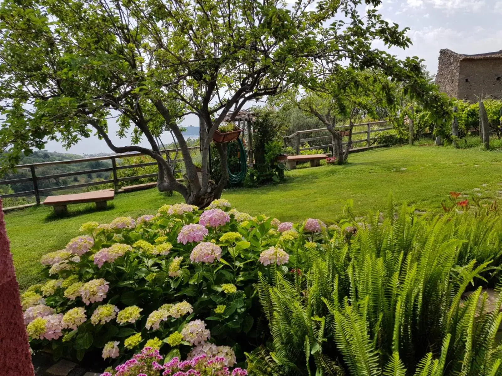 Double Room in B&B la Sirenetta Double Room in B&B la Sirenetta