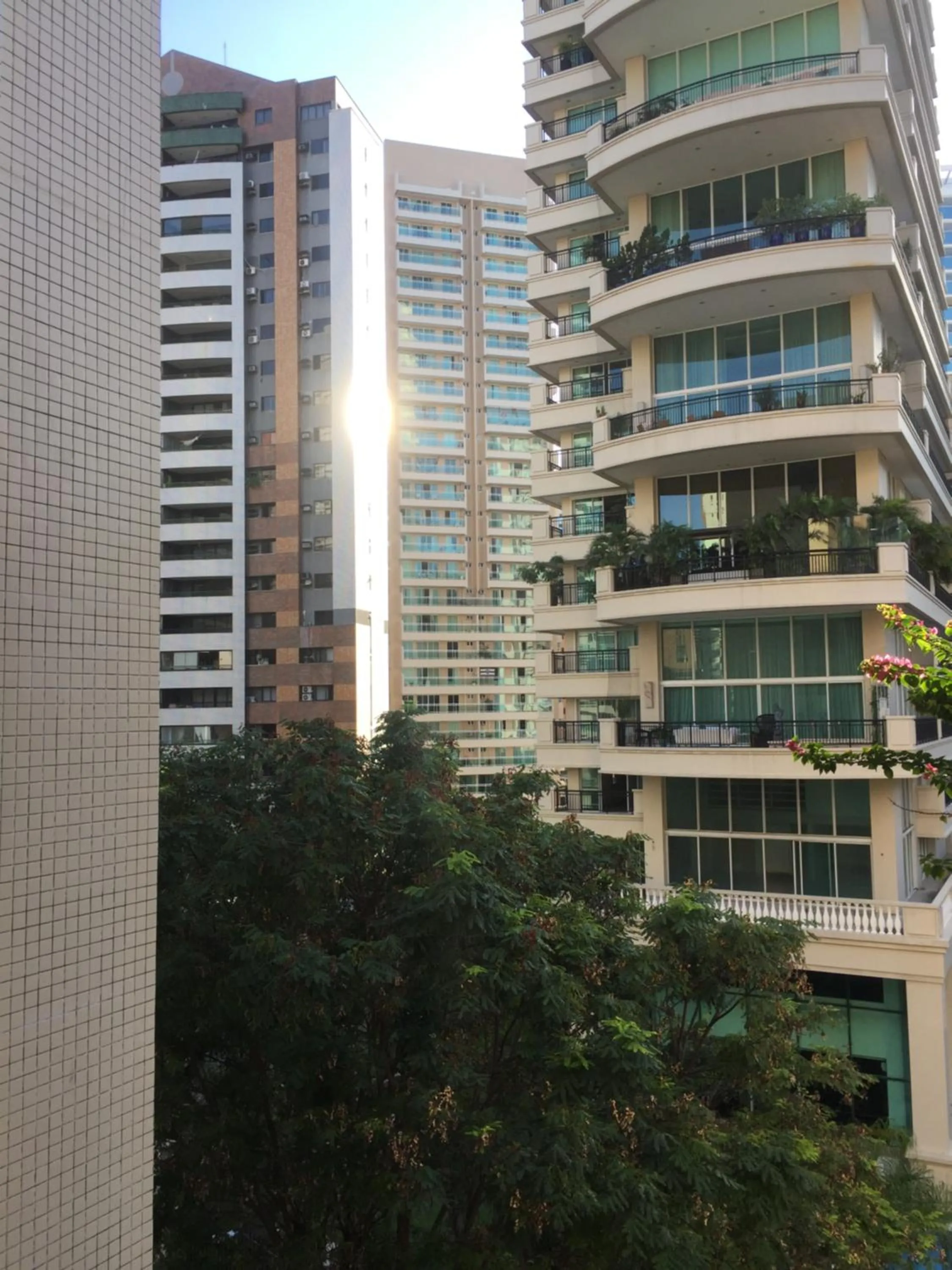 Natural landscape in Newlife Residence