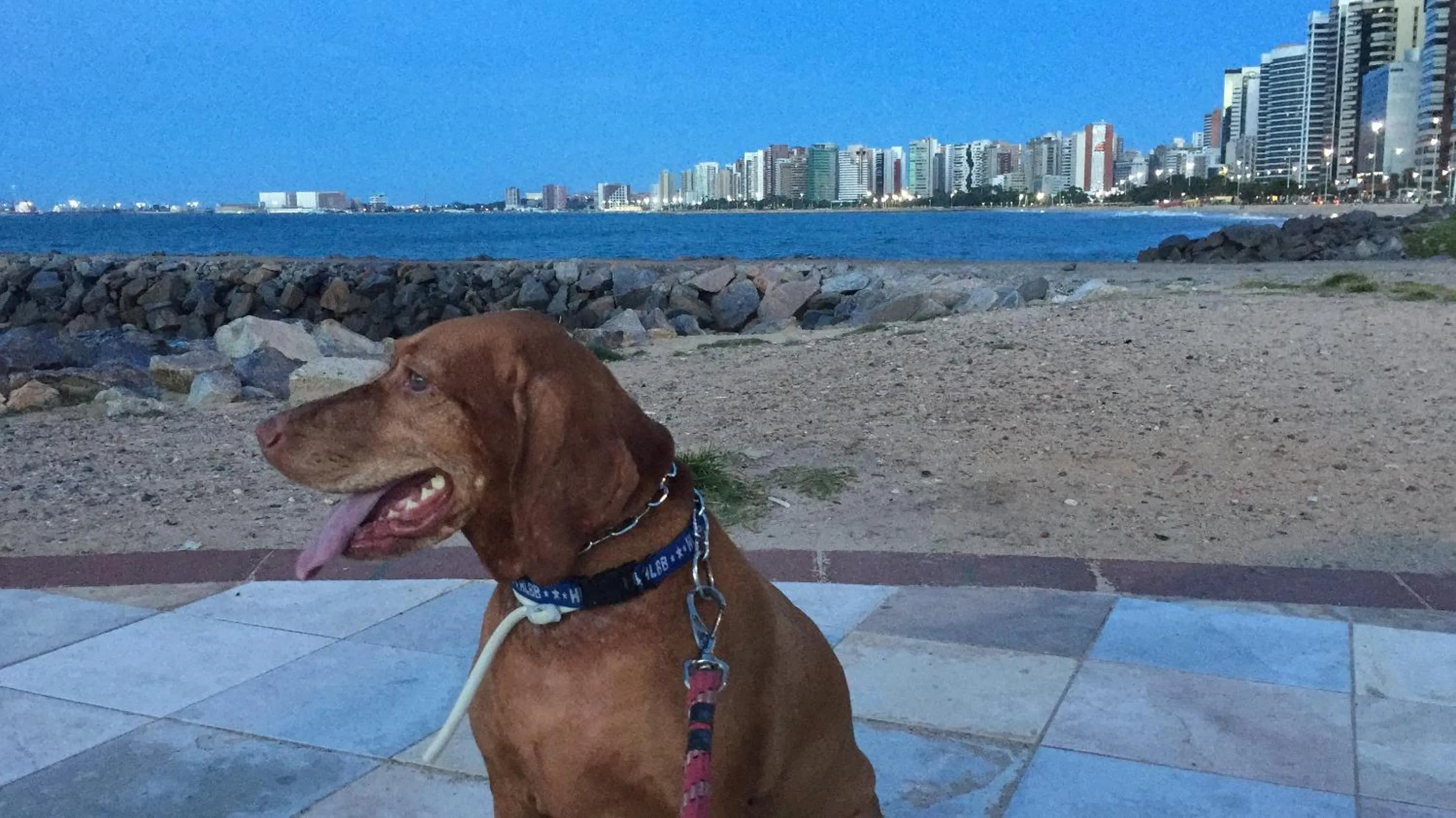 Entertainment in Newlife Residence