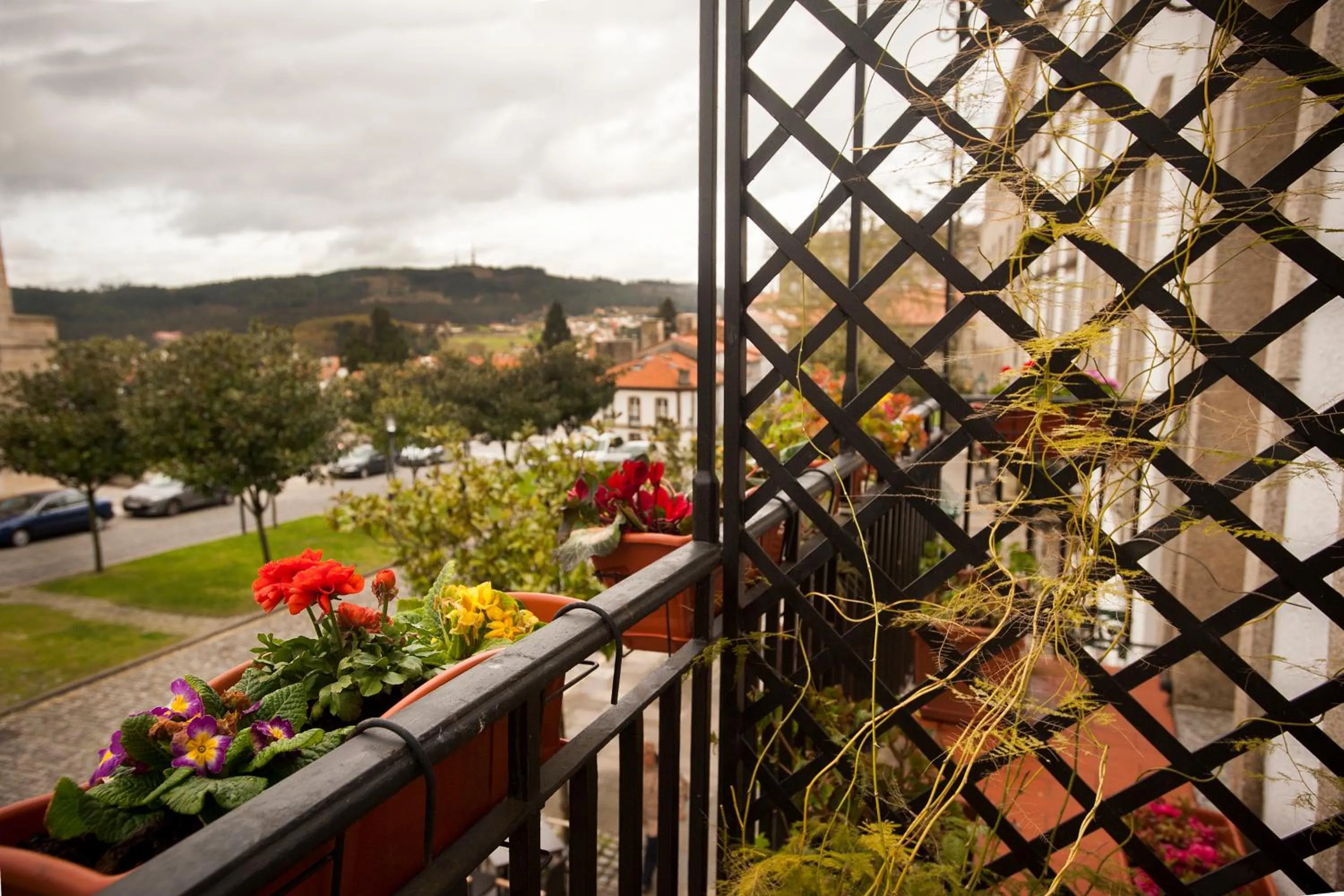 View (from property/room) in PR 25 de Julio