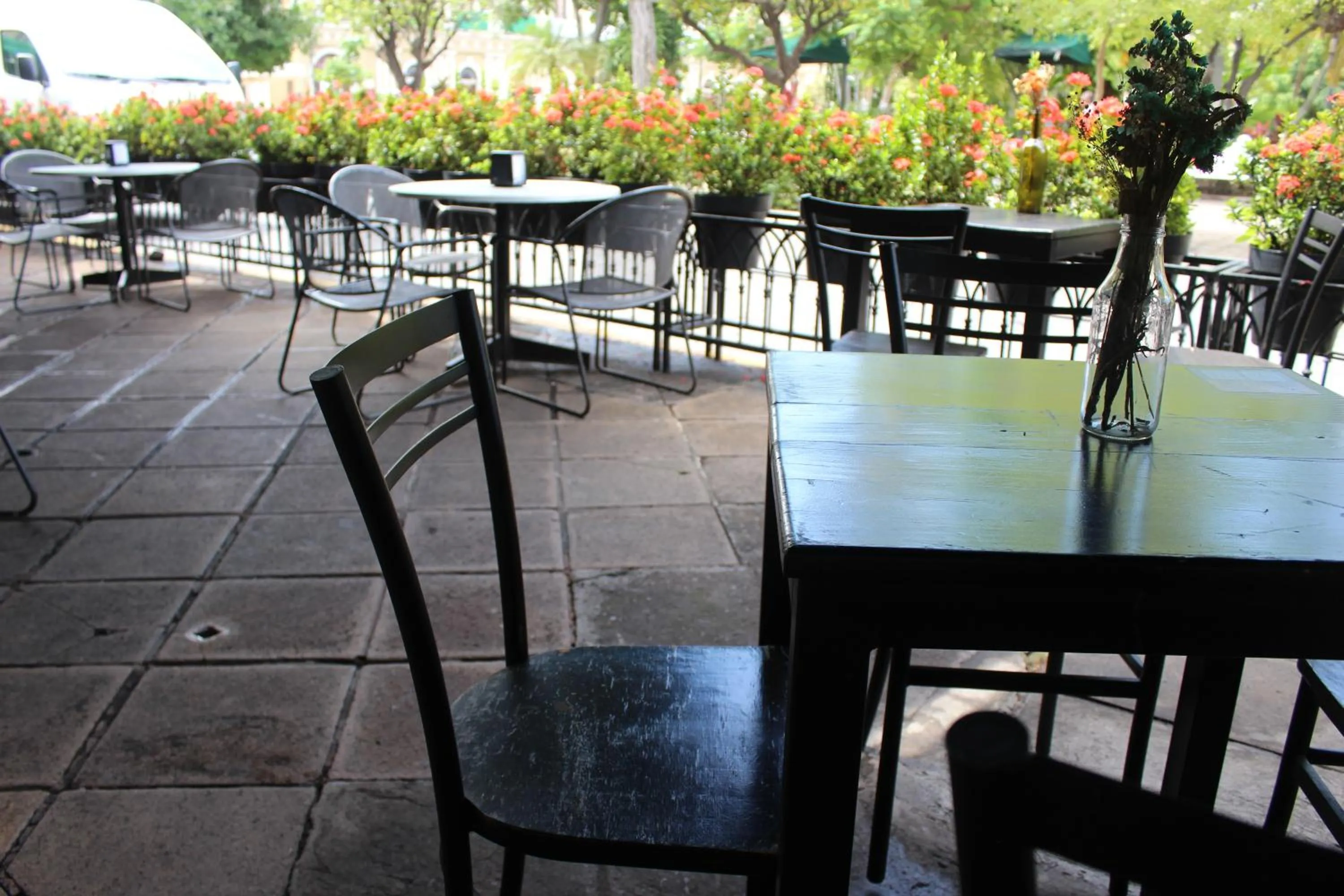 Restaurant/places to eat in Hotel Concierge Plaza Colima