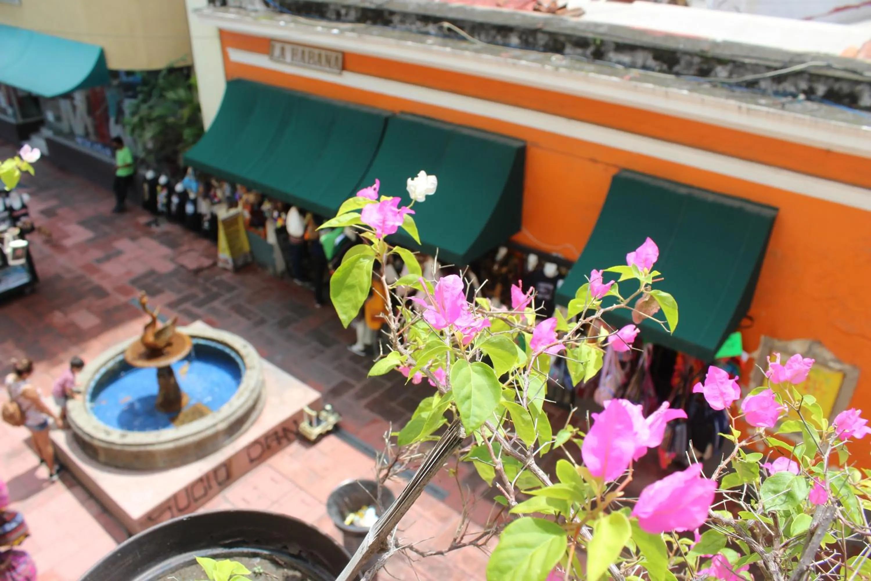 Street view in Hotel Concierge Plaza Colima