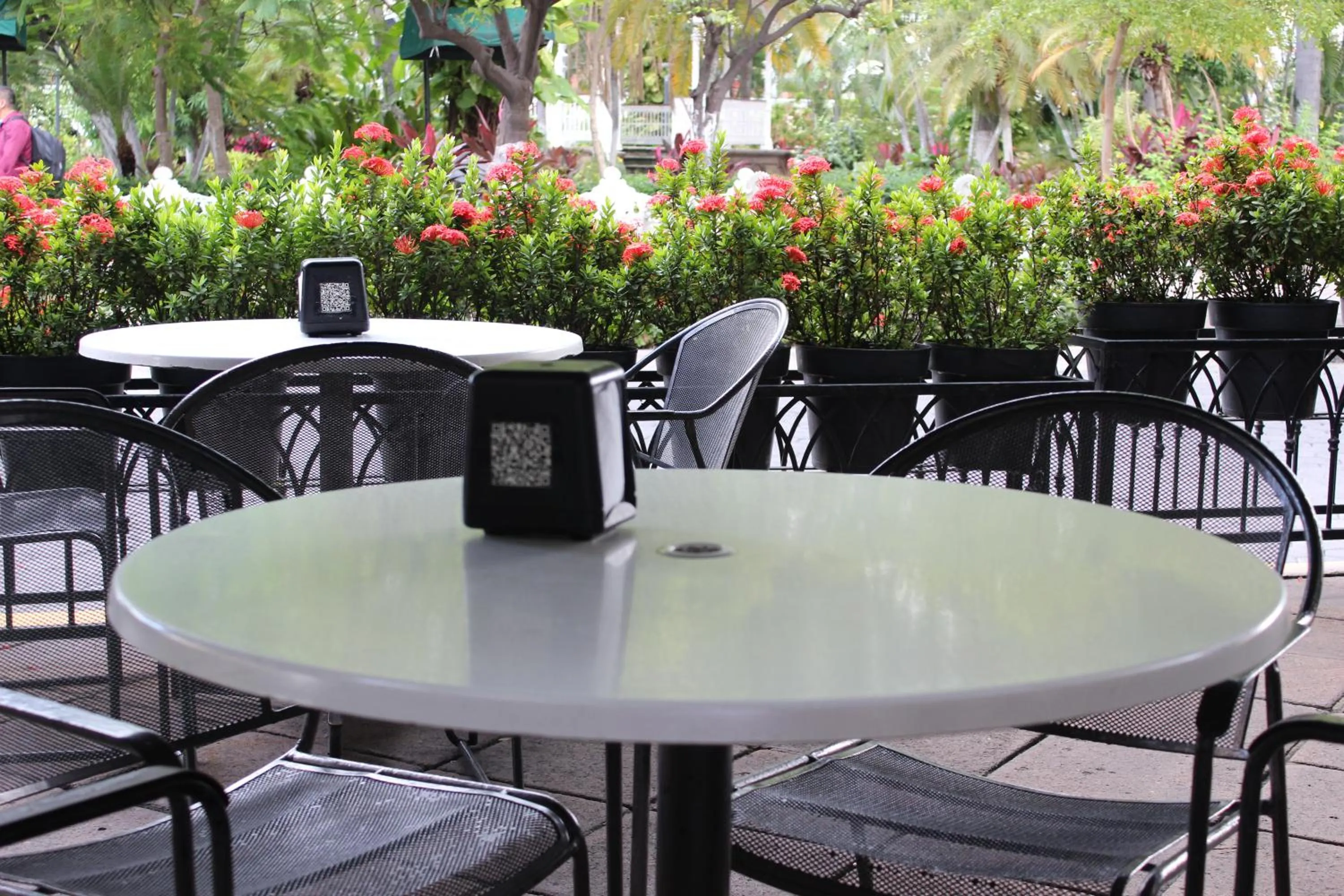 Restaurant/places to eat in Hotel Concierge Plaza Colima