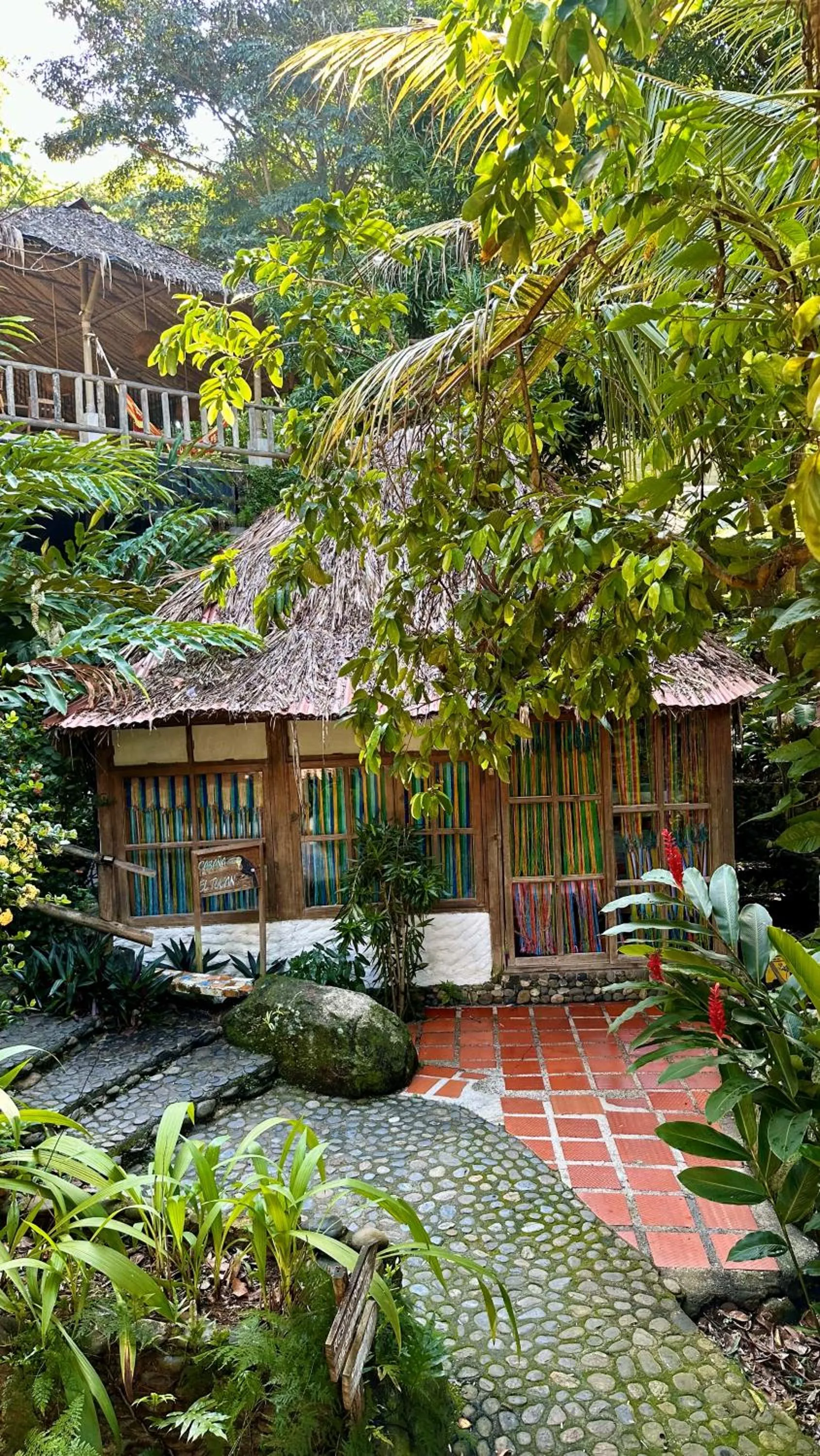 8-Bed Mixed Dormitory Room in Eco Hostal Yuluka