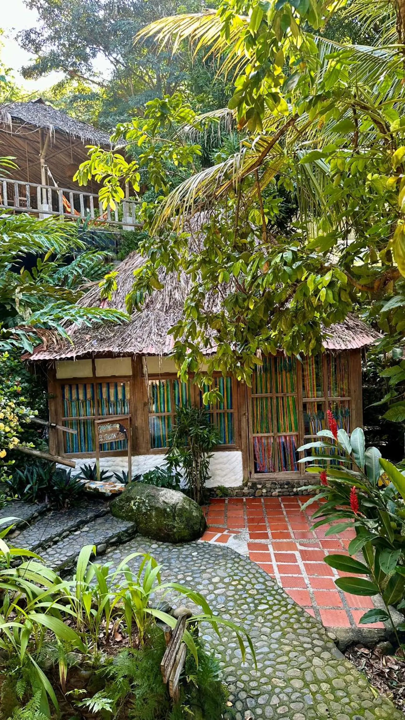 8-Bed Mixed Dormitory Room in Eco Hostal Yuluka 8-Bed Mixed Dormitory Room in Eco Hostal Yuluka