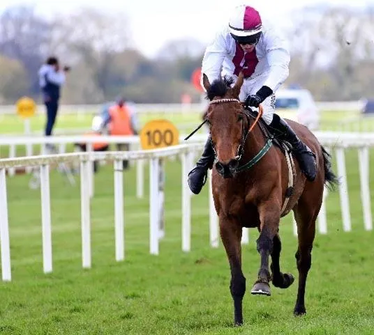 Hotel Minella & Leisure Centre