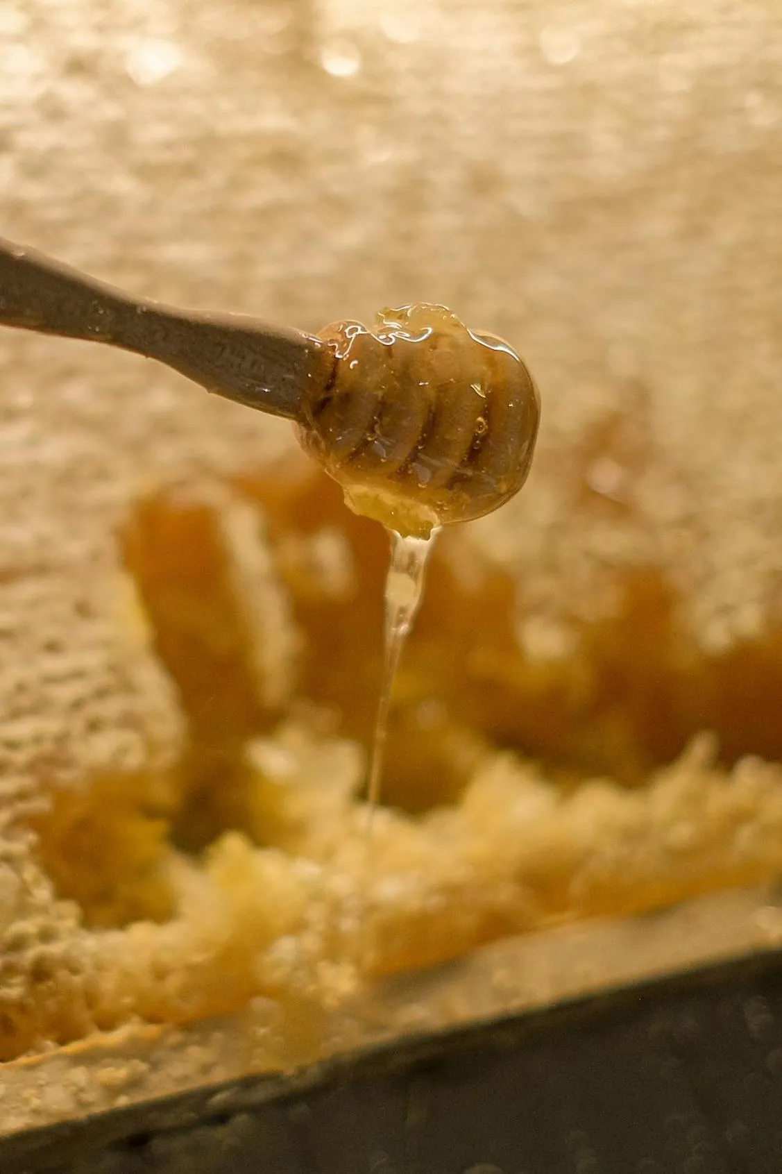 Food and drinks in Harmon House - Hotel & Spa