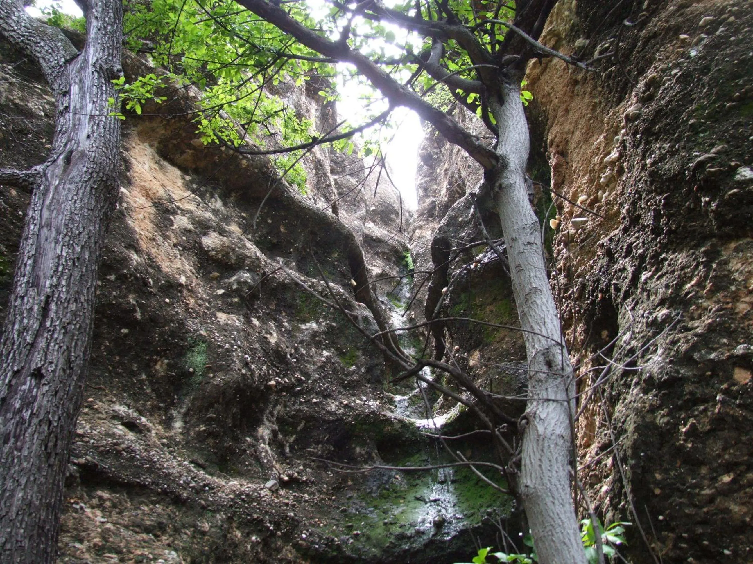 Other in Sasa Safari Camp & Tours