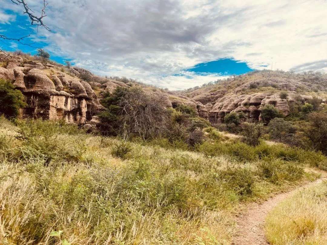 Sasa Safari Camp & Tours