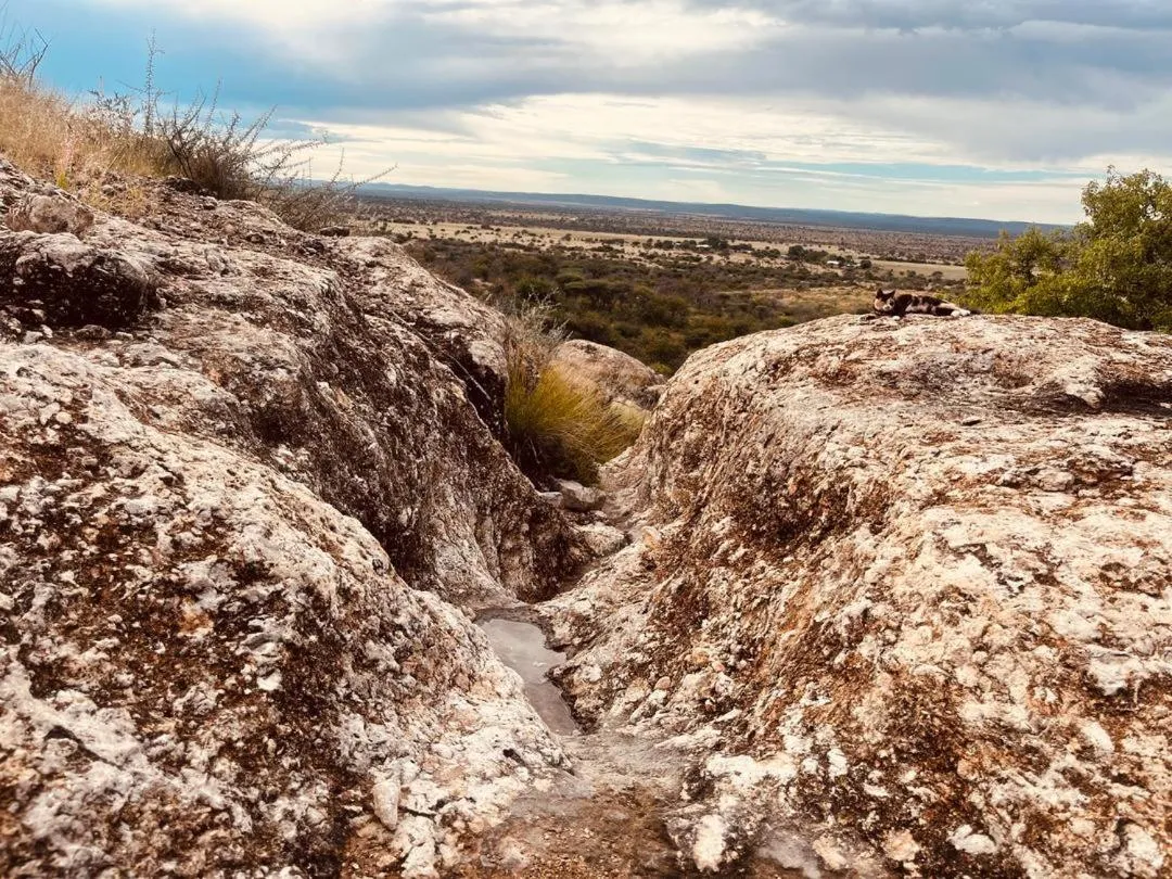 Sasa Safari Camp & Tours