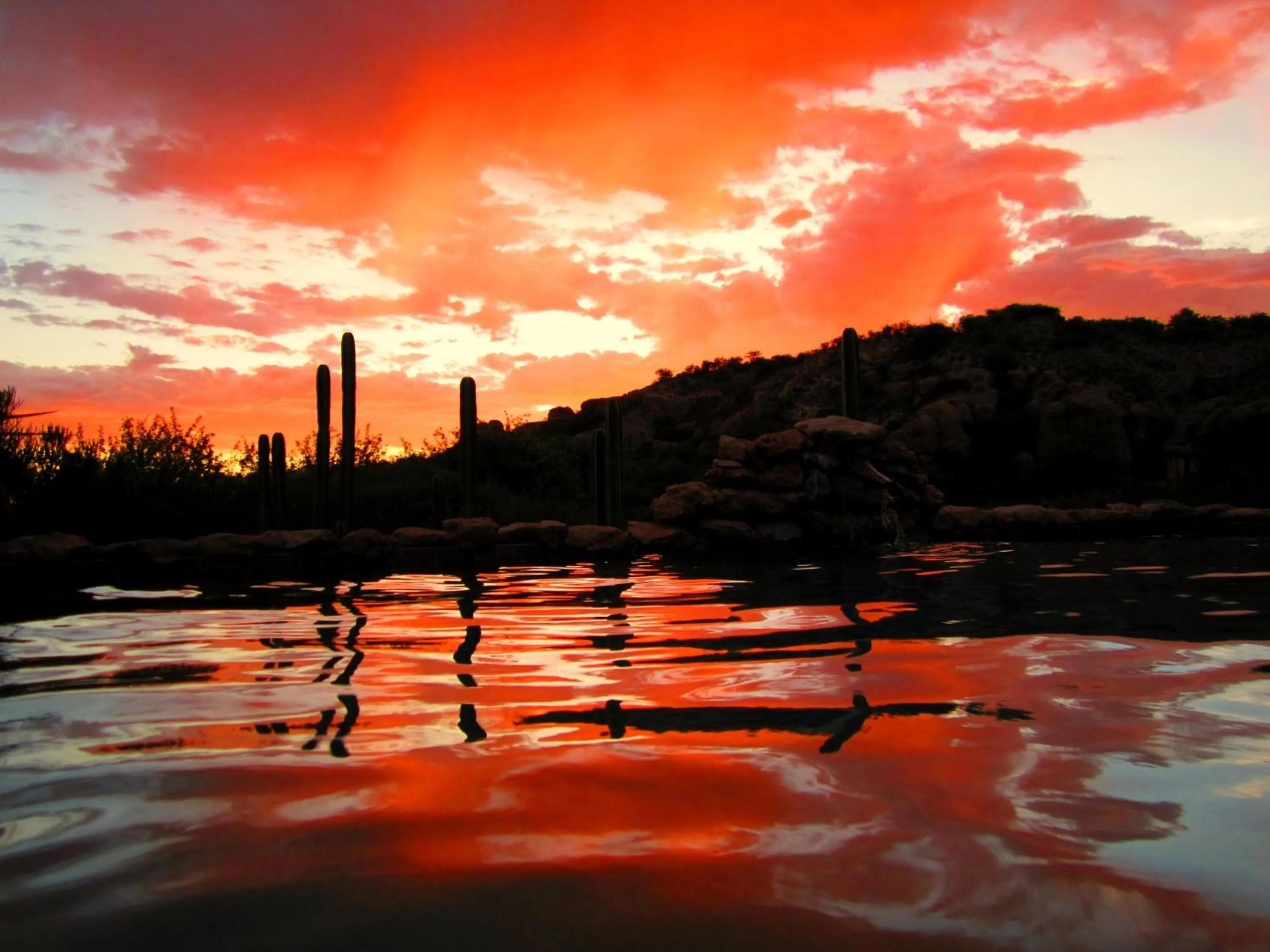 Facade/entrance in Sasa Safari Camp & Tours