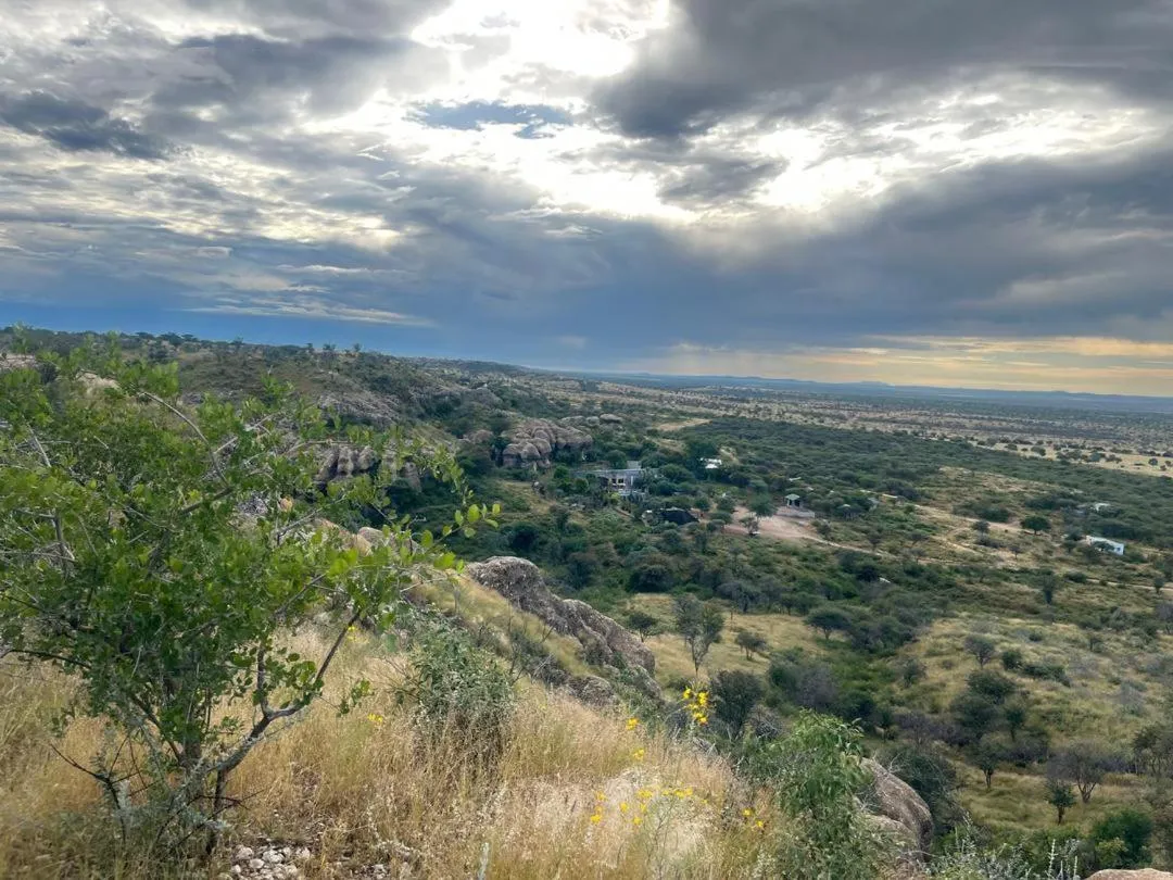 Sasa Safari Camp & Tours