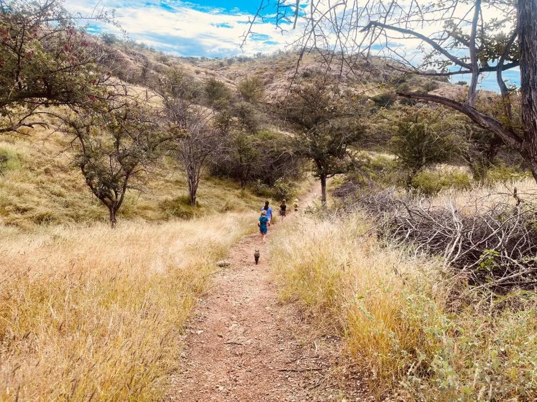 Sasa Safari Camp & Tours