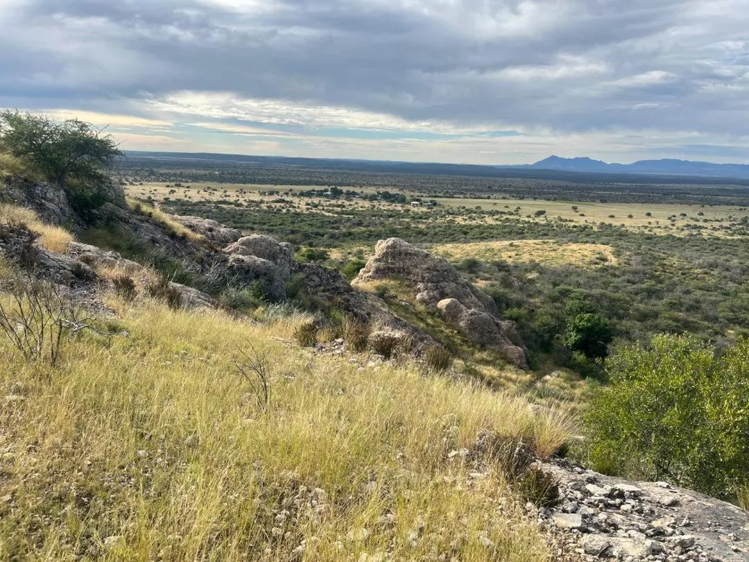 Sasa Safari Camp & Tours