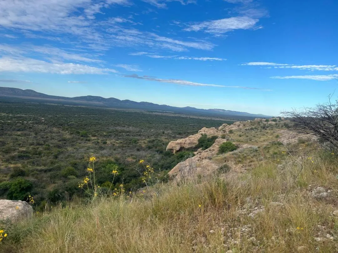 Sasa Safari Camp & Tours