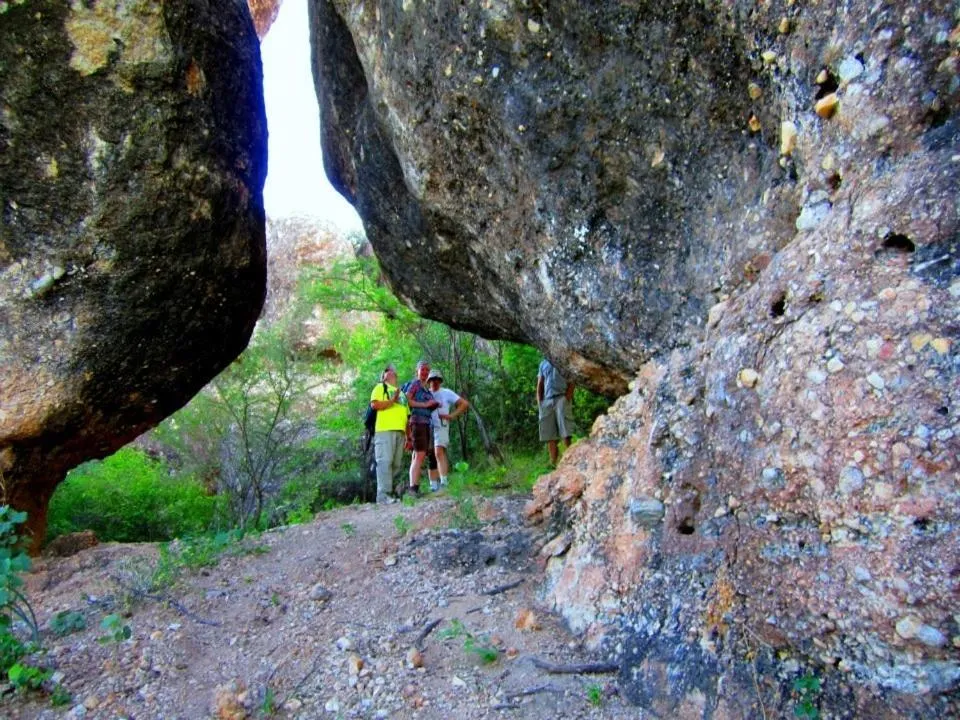 Other in Sasa Safari Camp & Tours