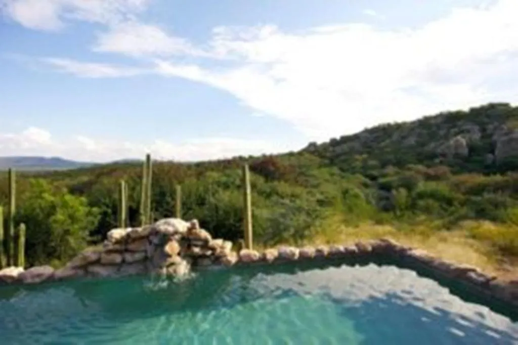 Swimming pool in Sasa Safari Camp & Tours