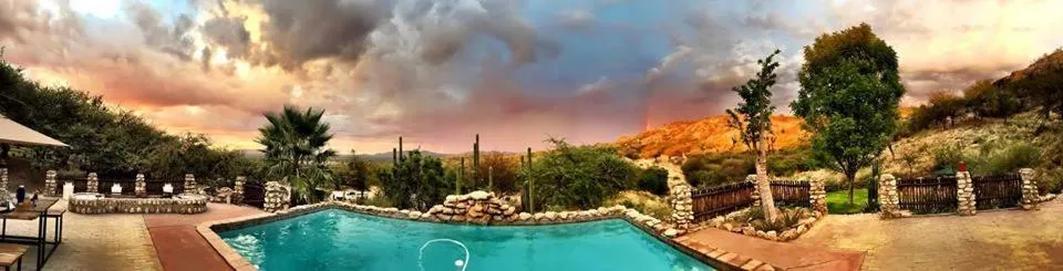 Sasa Safari Camp & Tours