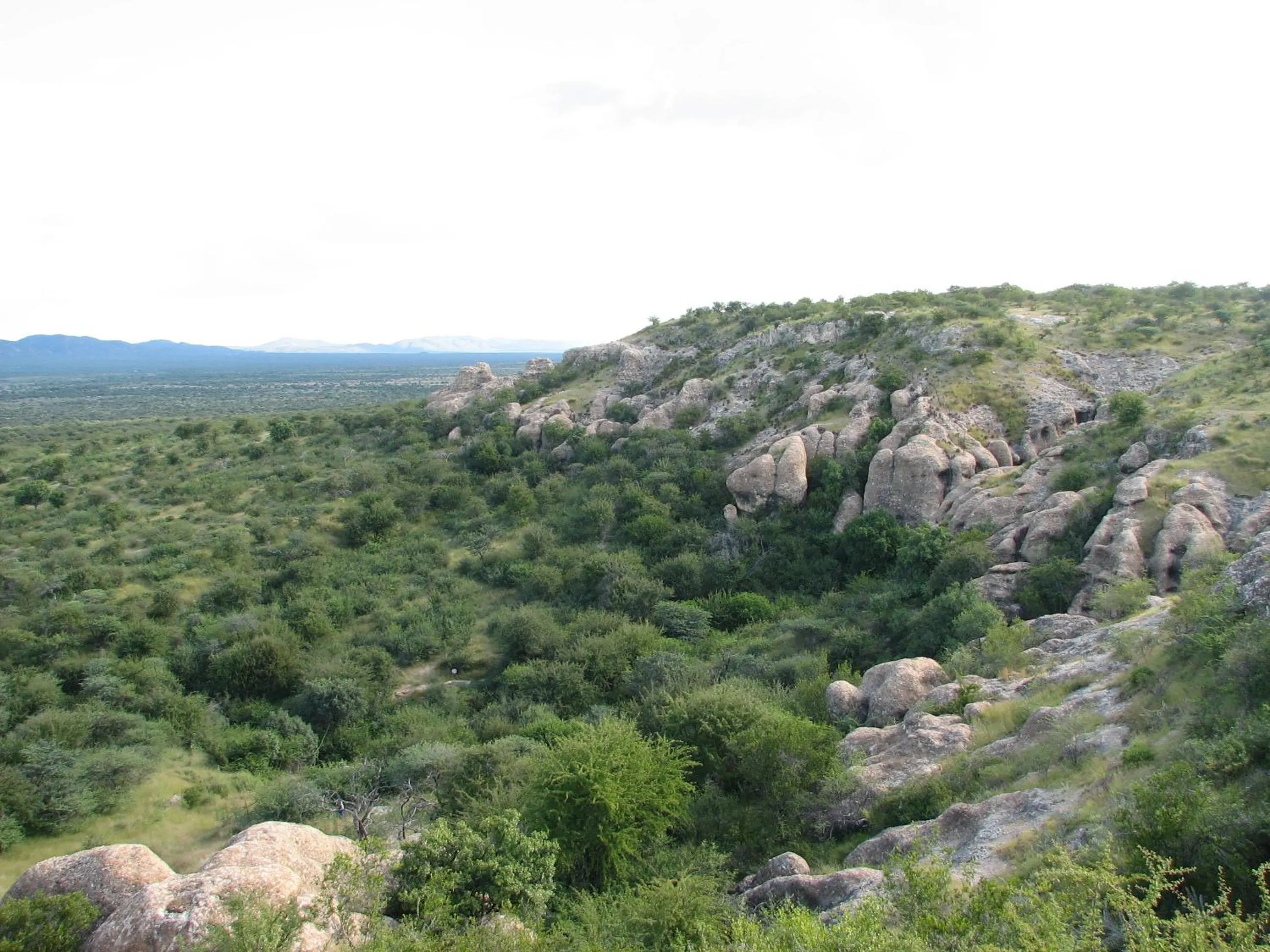 View (from property/room) in Sasa Safari Camp & Tours