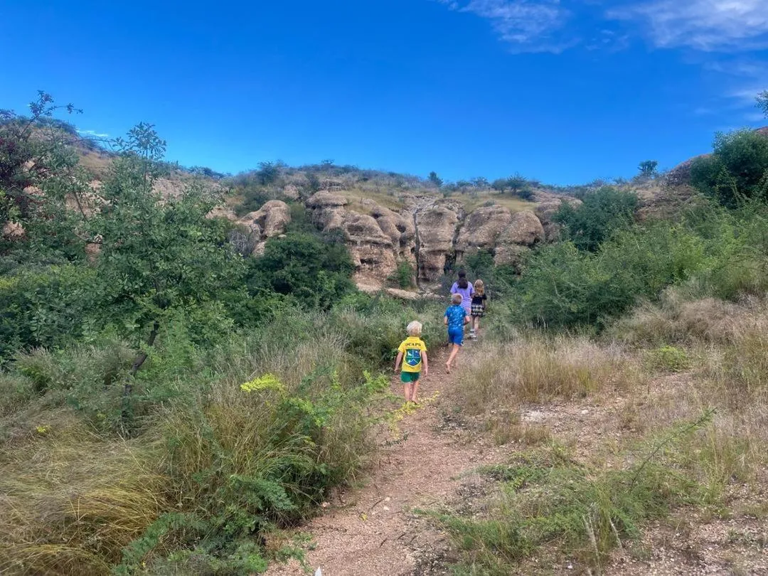 Sasa Safari Camp & Tours