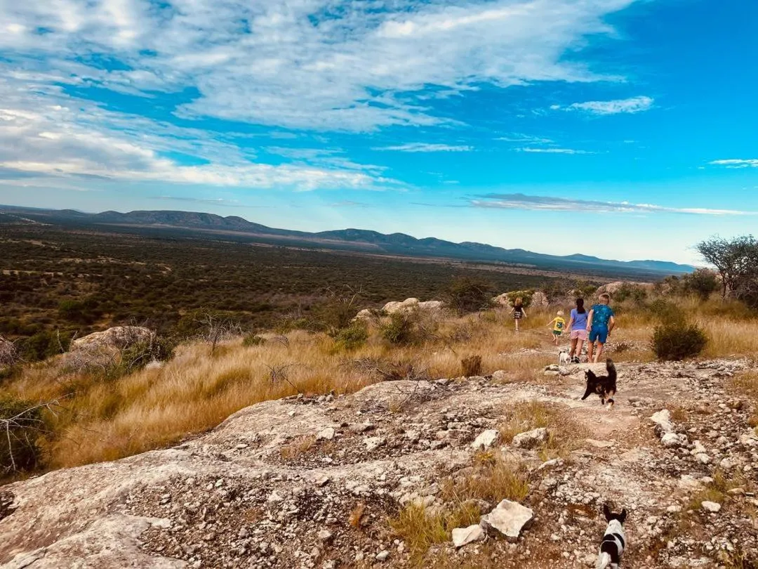 Sasa Safari Camp & Tours