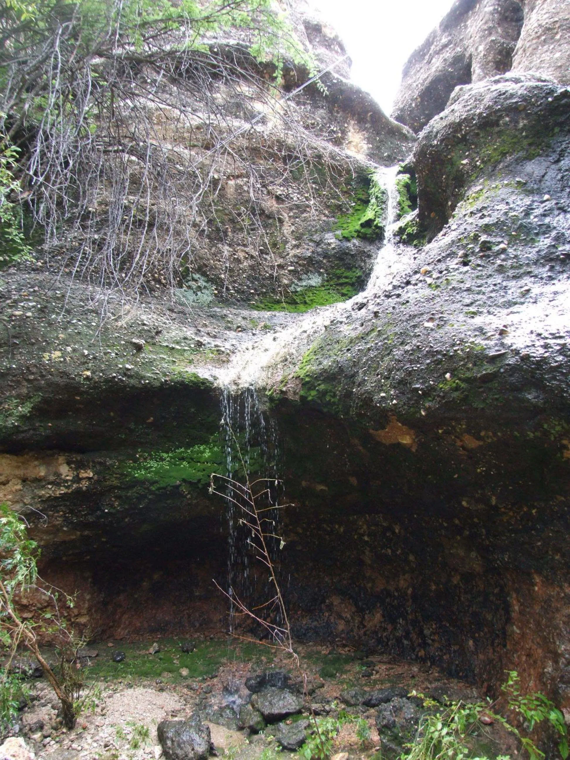 Other in Sasa Safari Camp & Tours