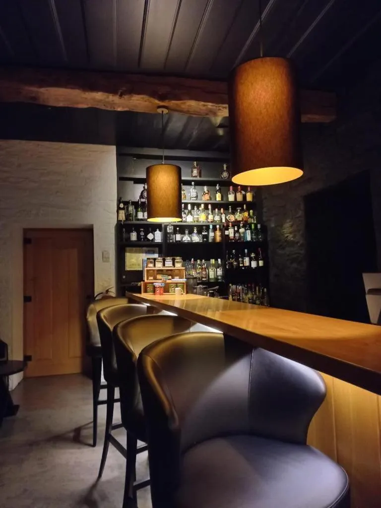 Lounge or bar in Delfim Douro Hotel