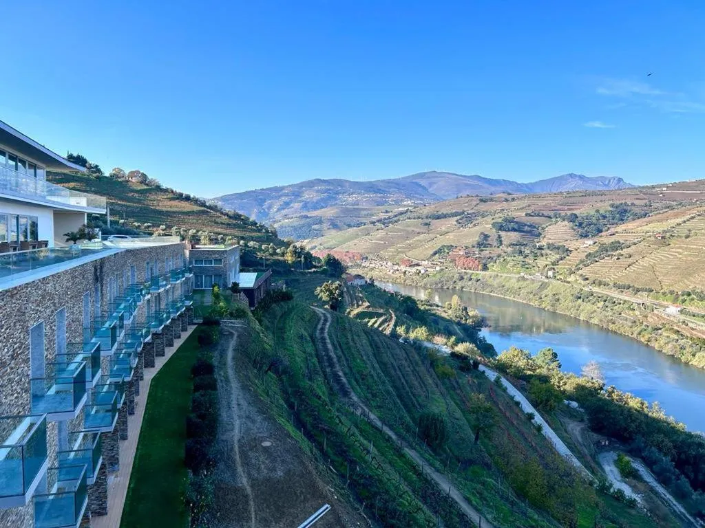 Delfim Douro Hotel