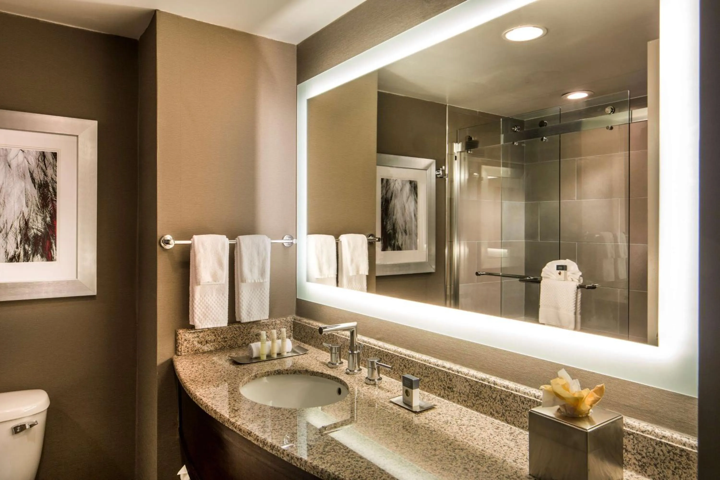Bathroom in DoubleTree by Hilton Hotel Largo Washington DC