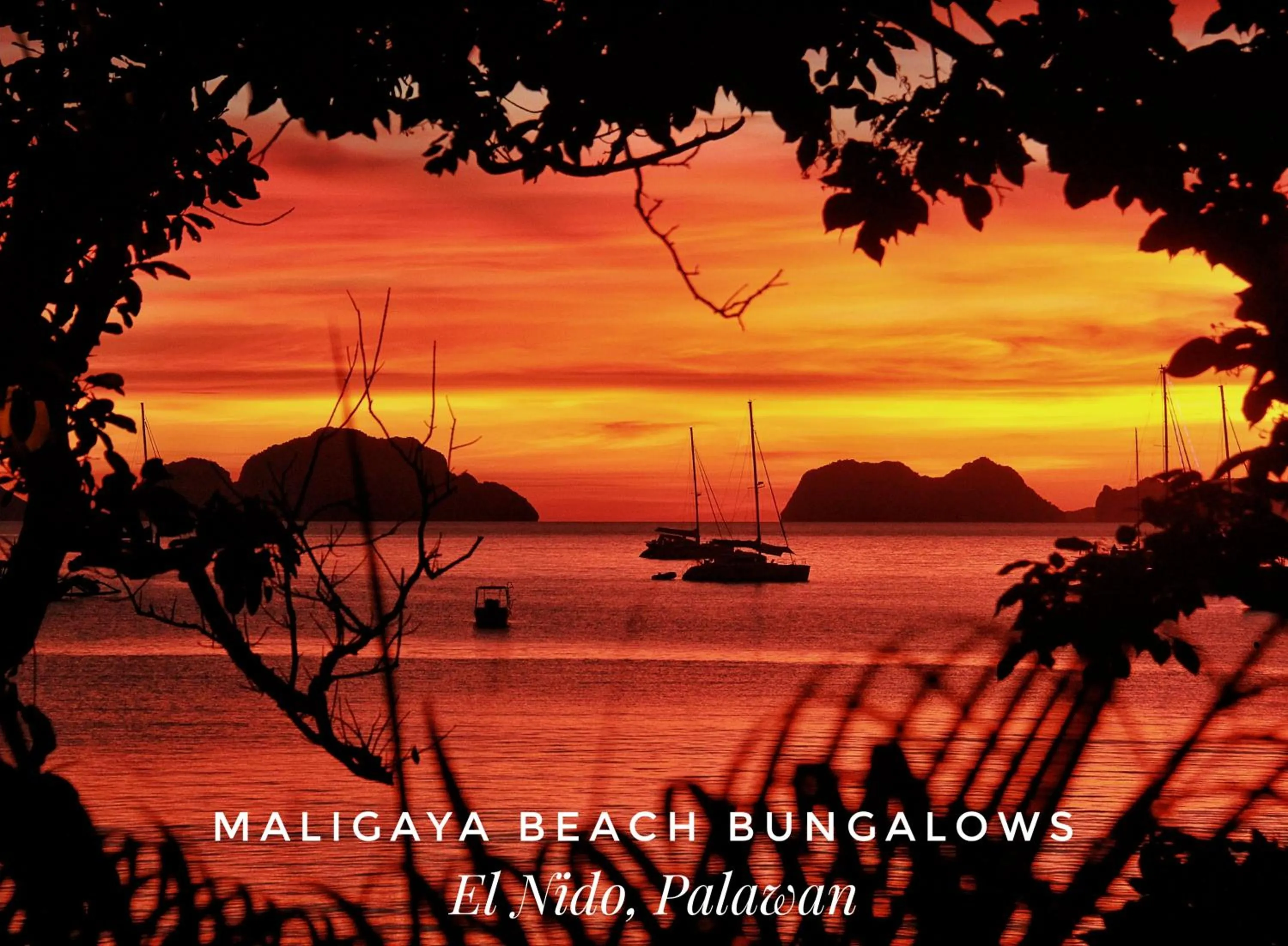 Sunset in Maligaya Beach Bungalows