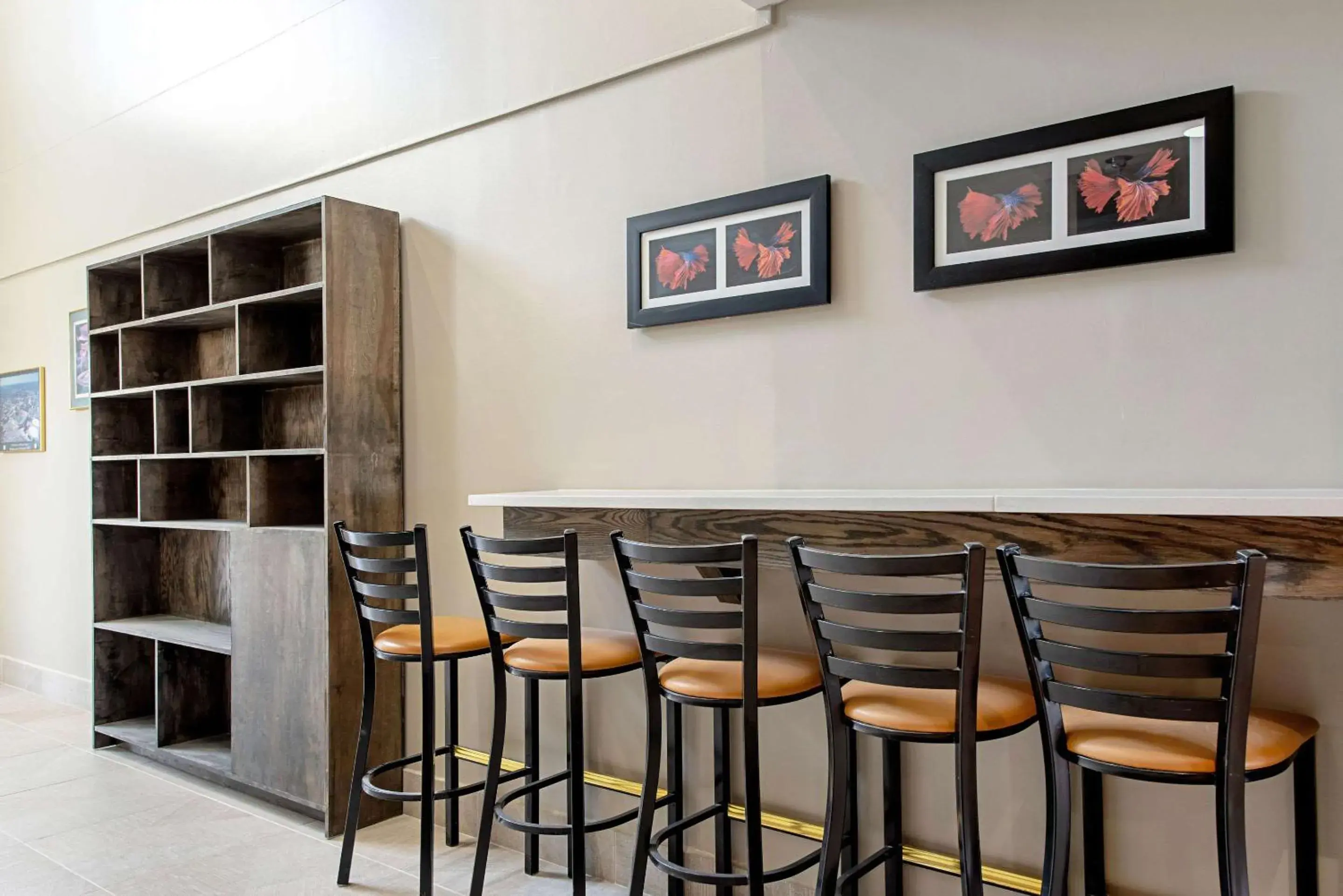 Quality Inn Mishawaka - South Bend Quality Inn Mishawaka - South Bend