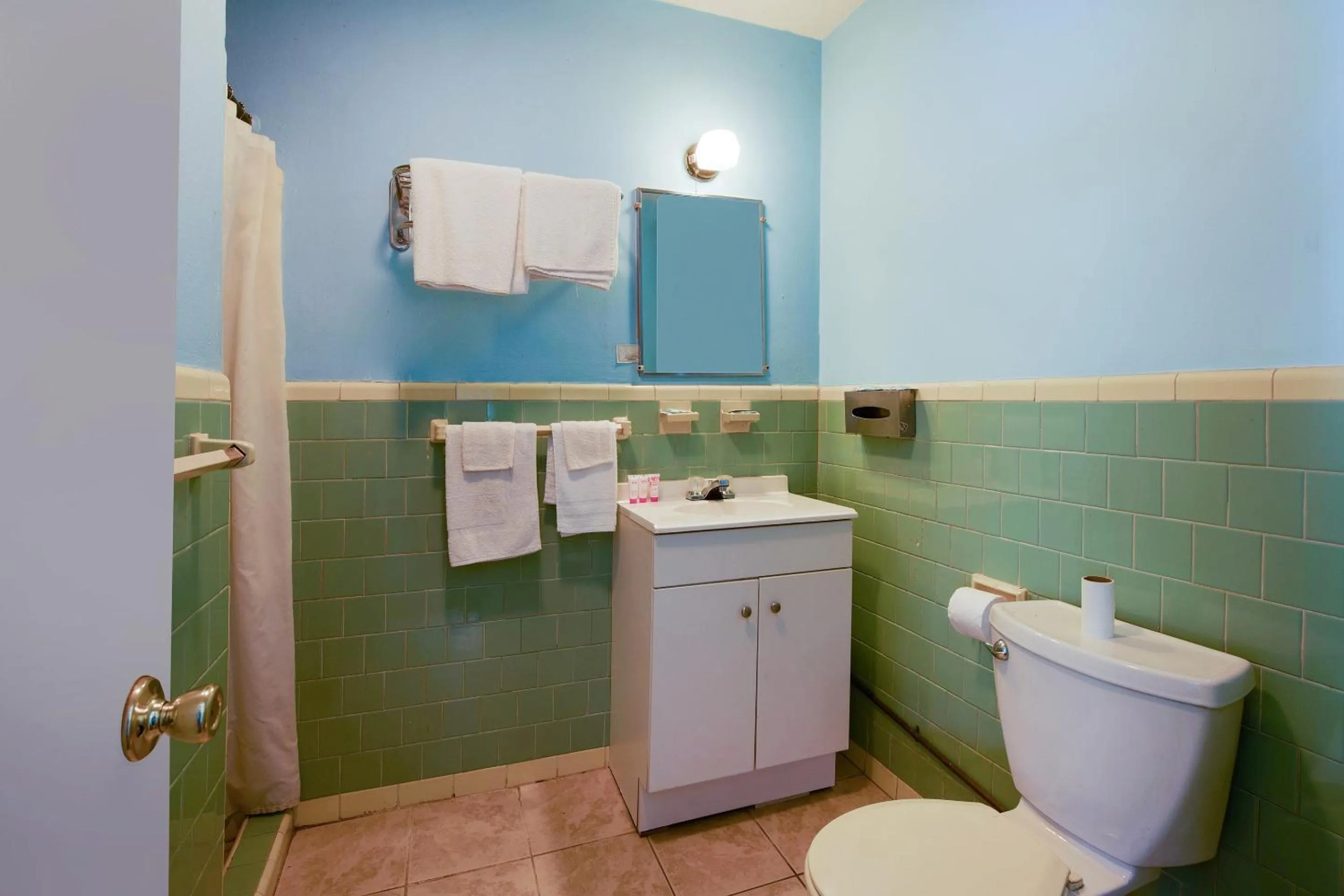 Bathroom in BlueJay Motel - Salem - Roanoke I-81