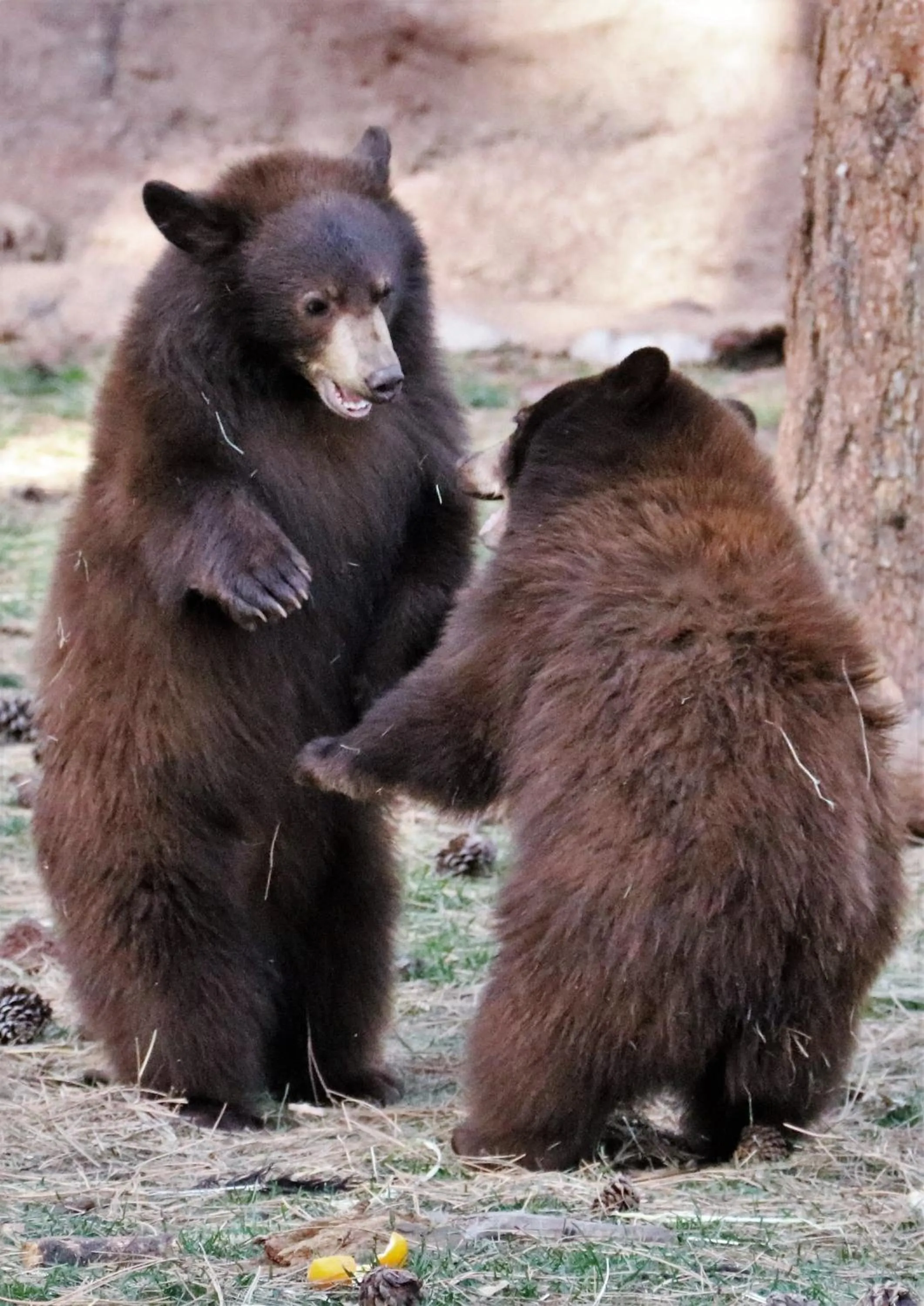 Nearby landmark in Sheridan House Inn- Adult Only Accommodation