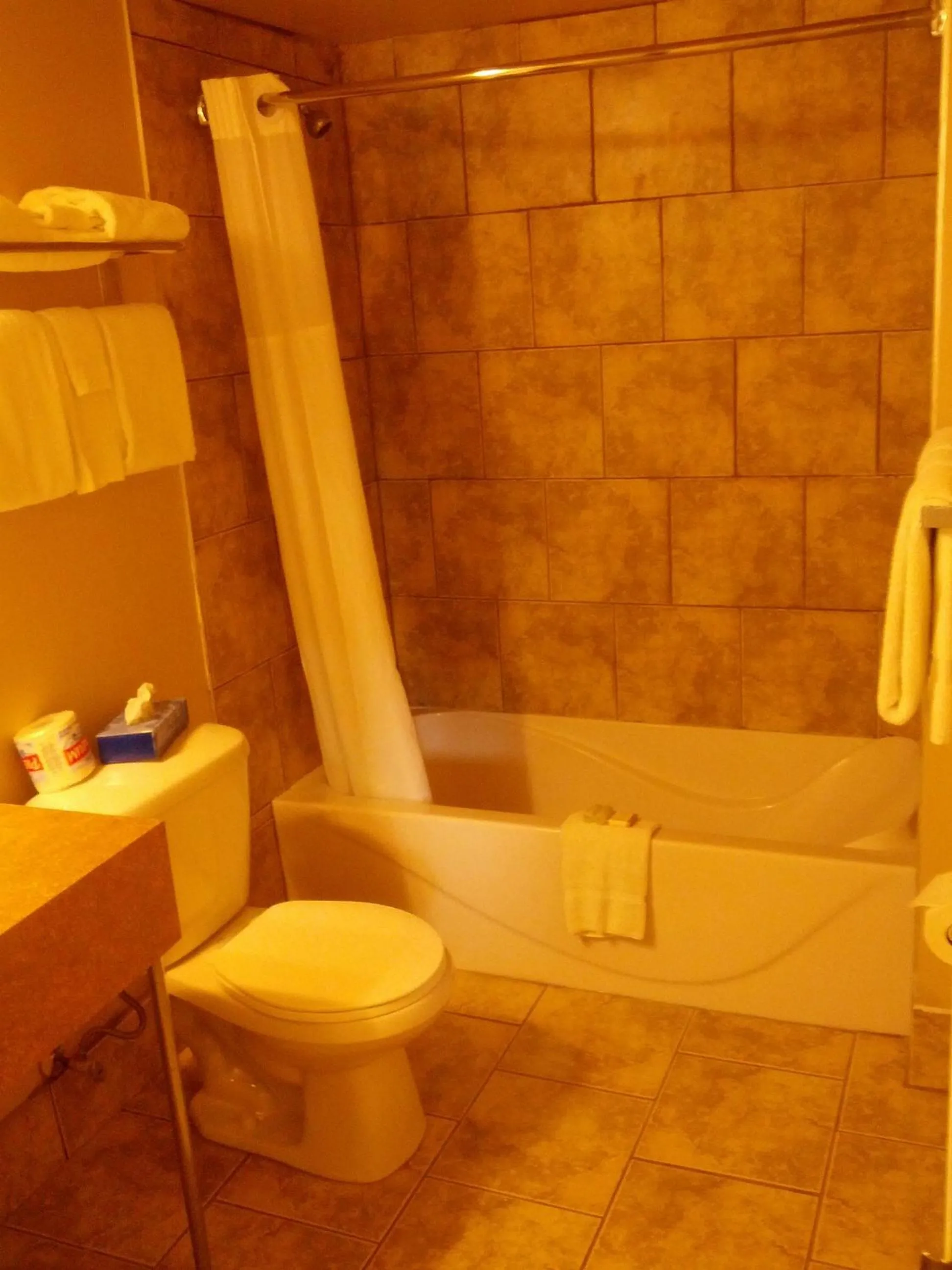 Toilet in Travelodge by Wyndham Swift Current