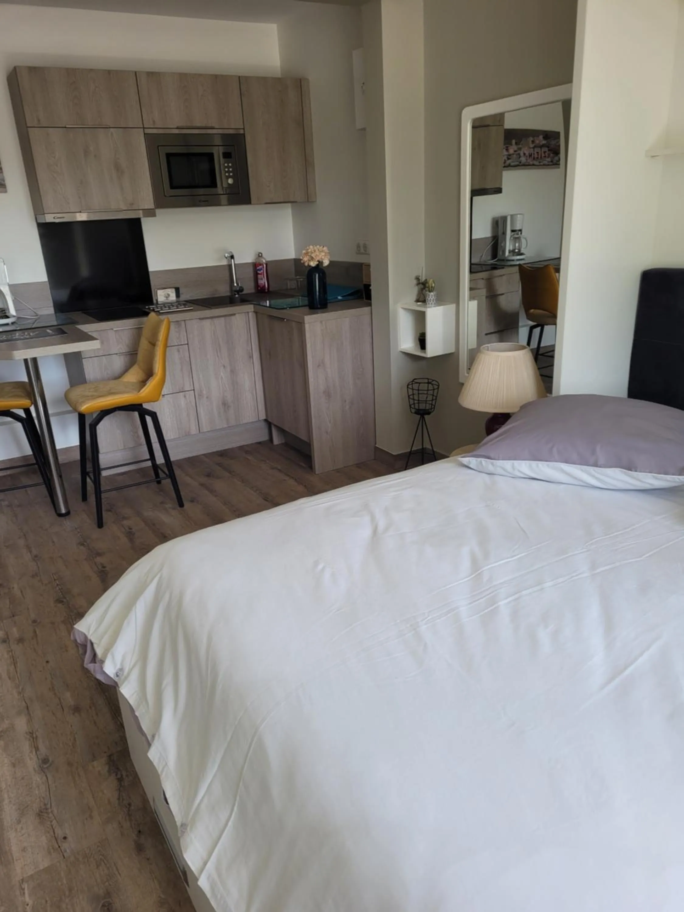 Bed in CHANGÉ, 10mn du circuit du Mans