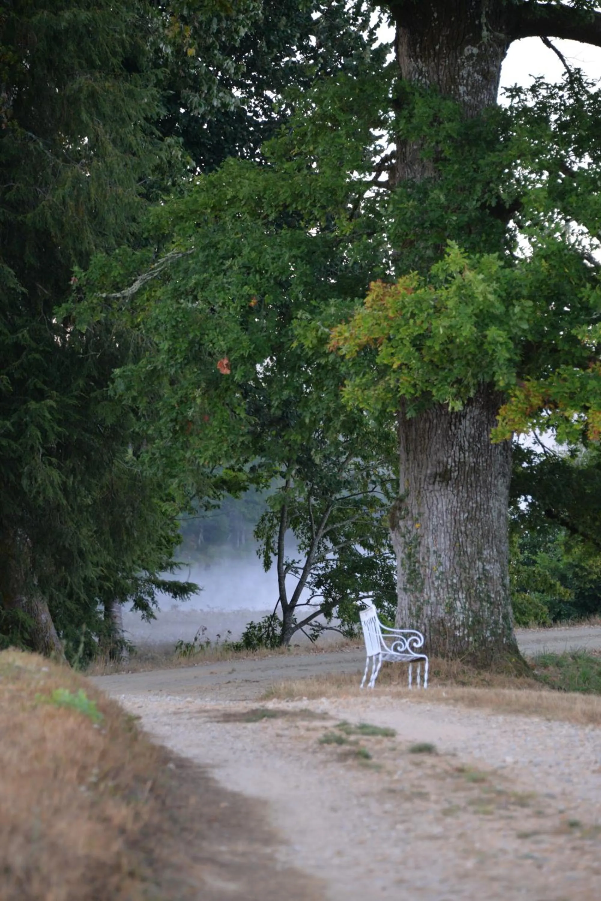 Property building in Domaine de Bort