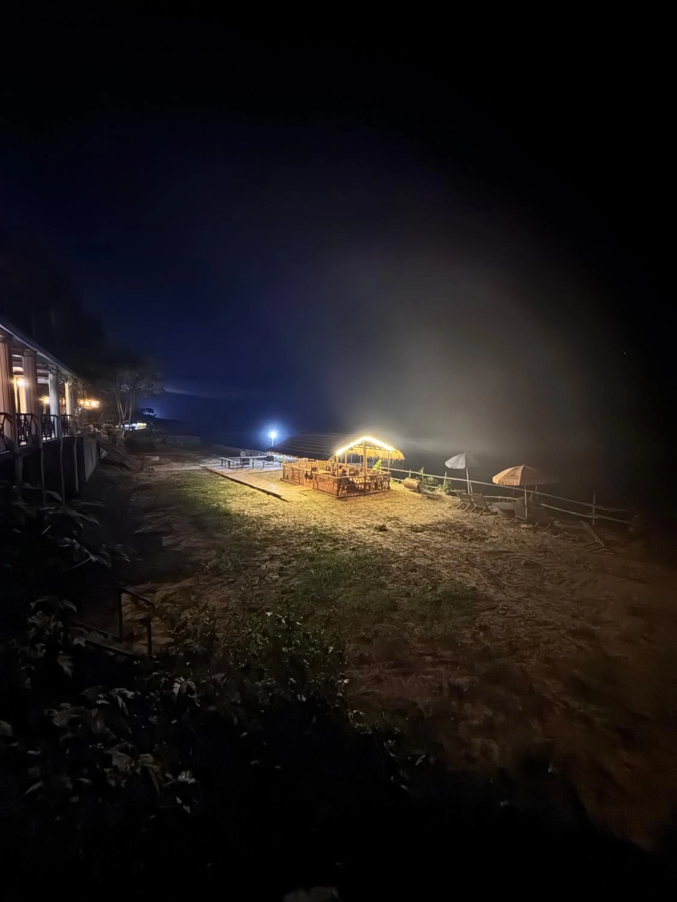 Jungle Wildlife Camp