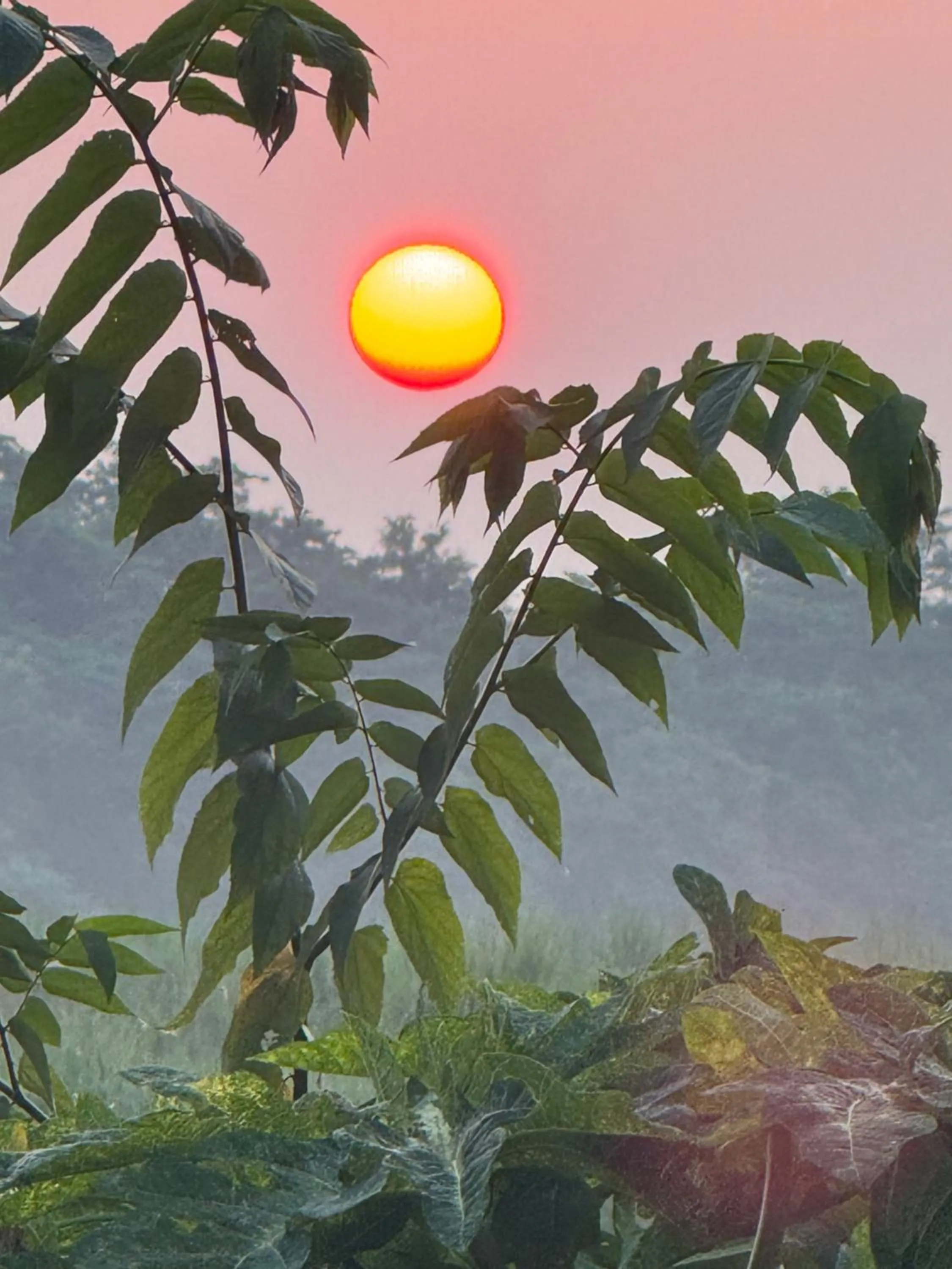 Jungle Wildlife Camp