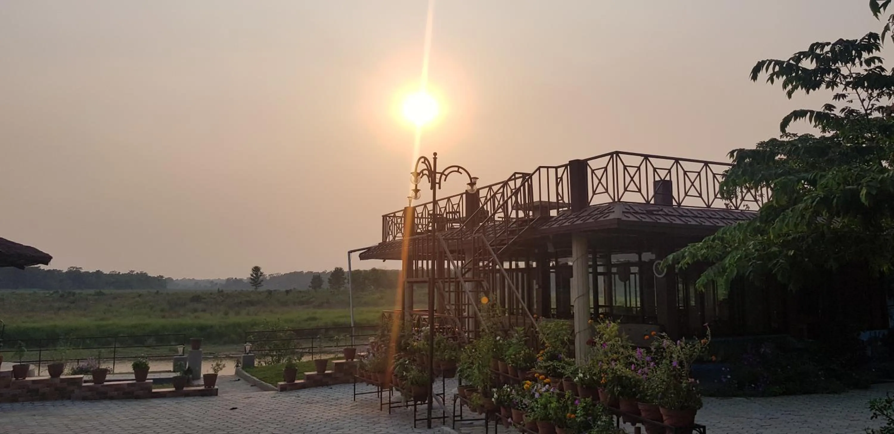 Jungle Wildlife Camp