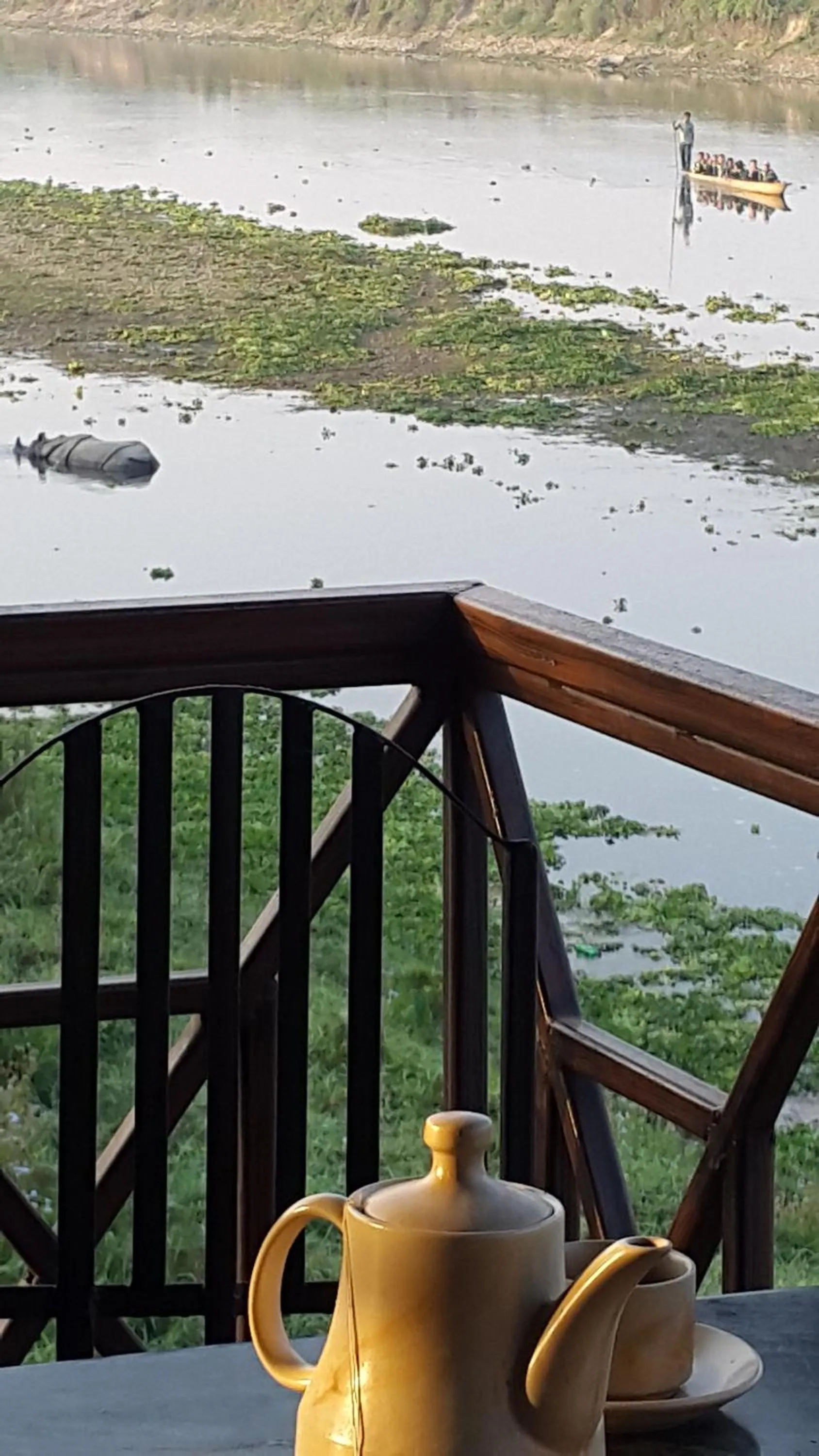 Jungle Wildlife Camp