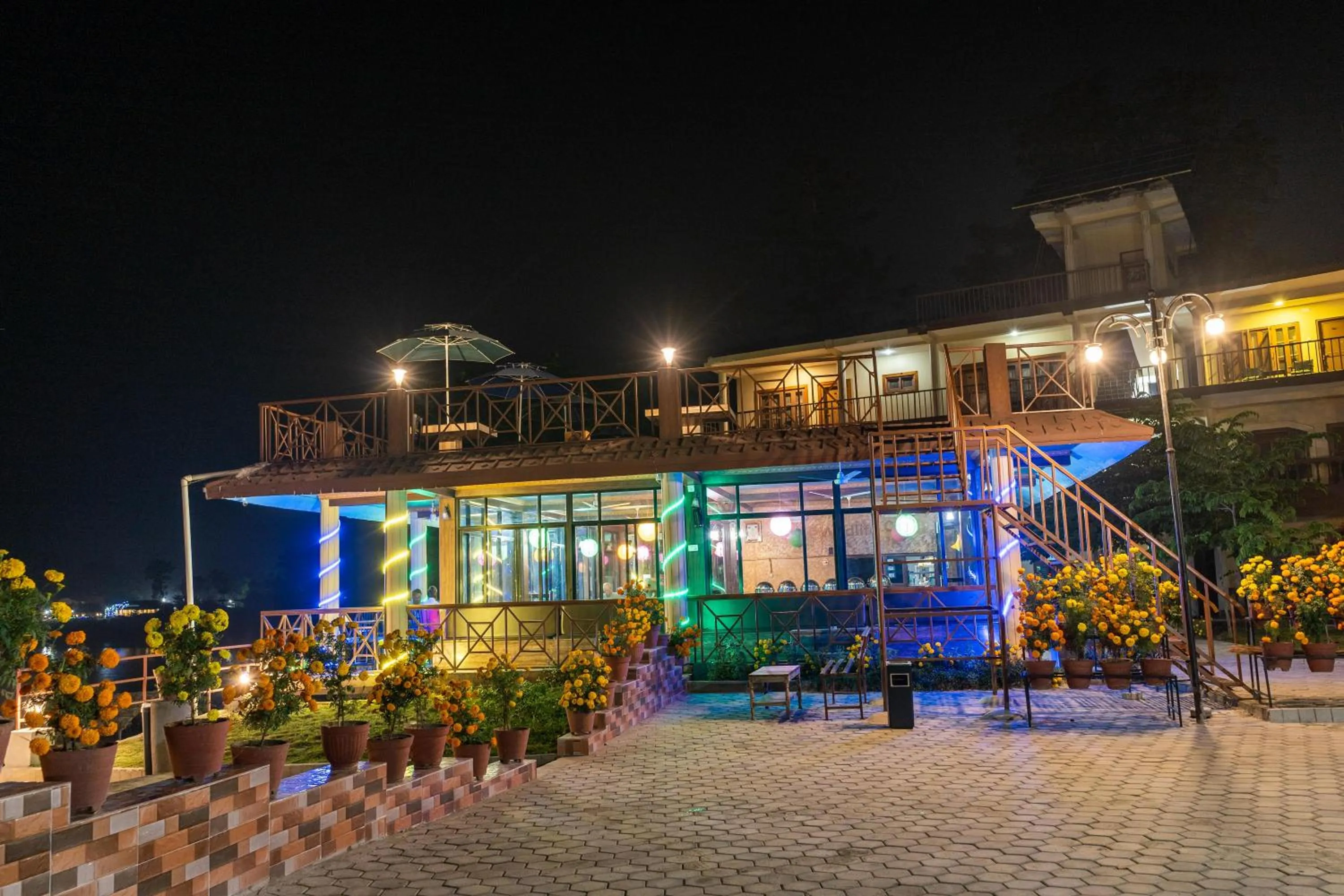 Jungle Wildlife Camp