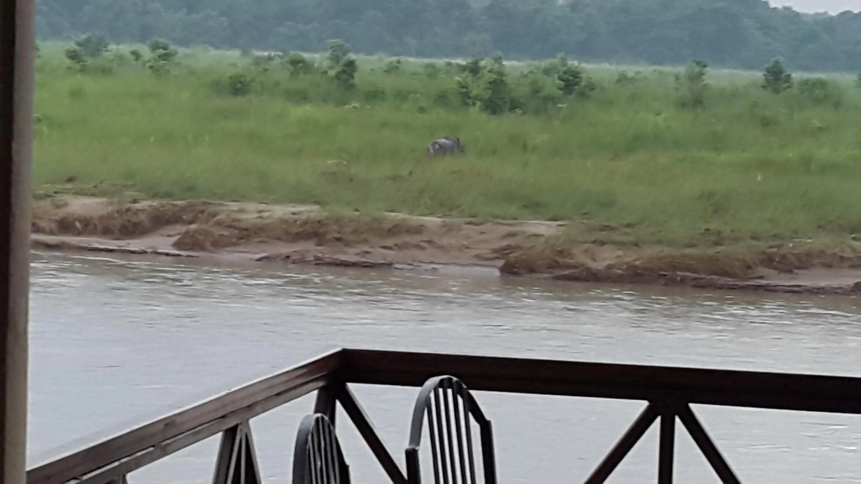 Jungle Wildlife Camp