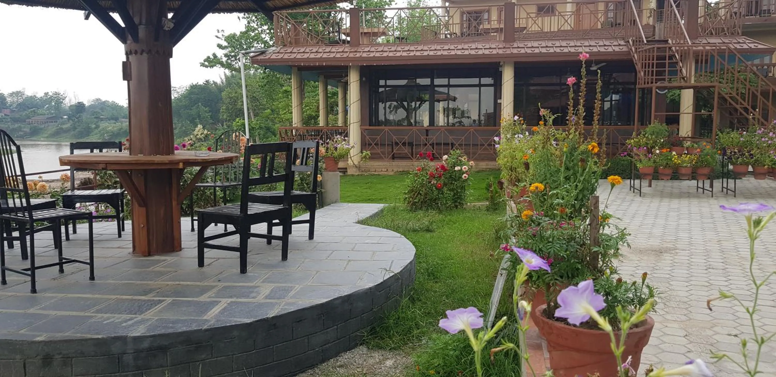 Jungle Wildlife Camp