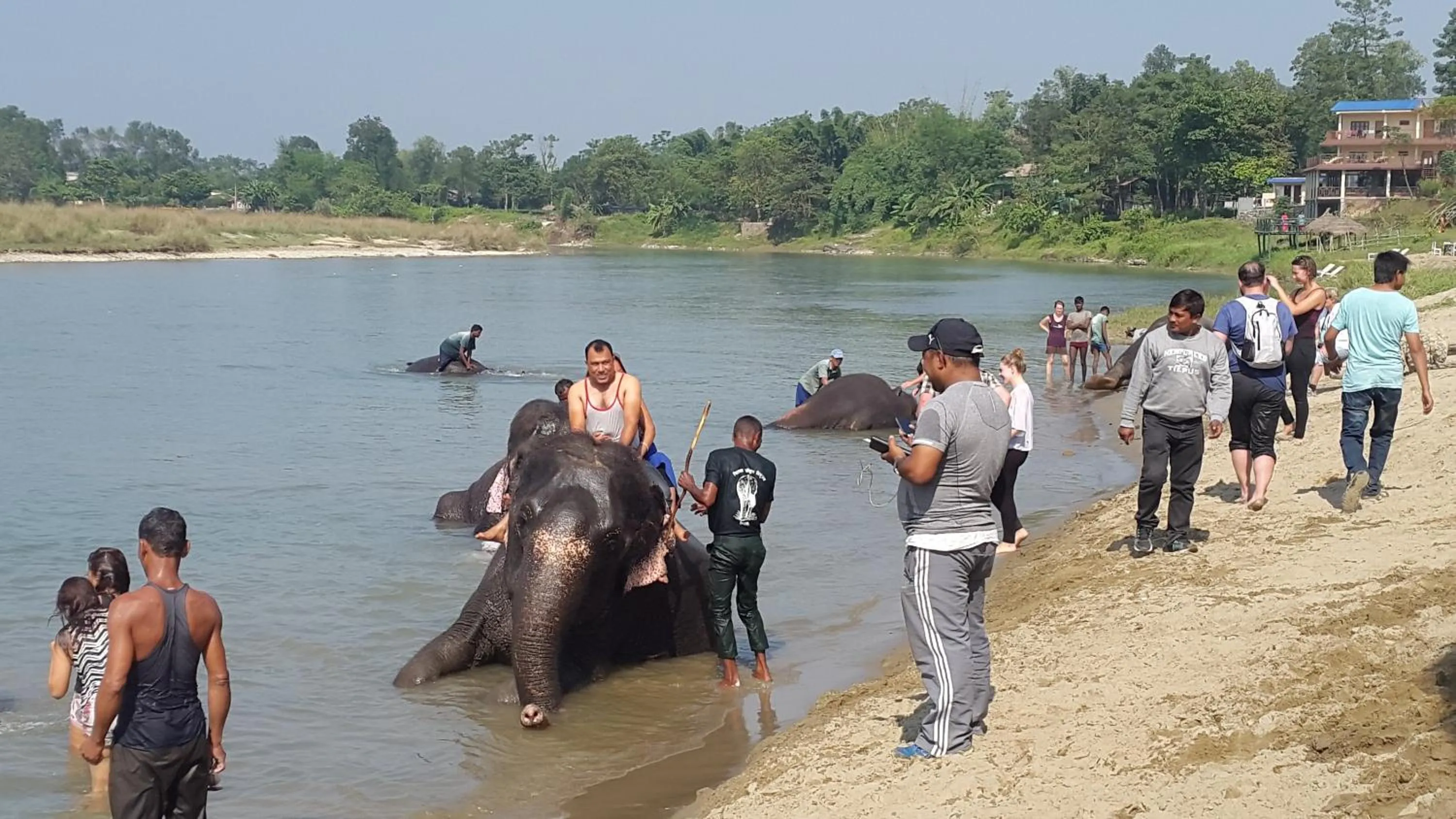 Jungle Wildlife Camp