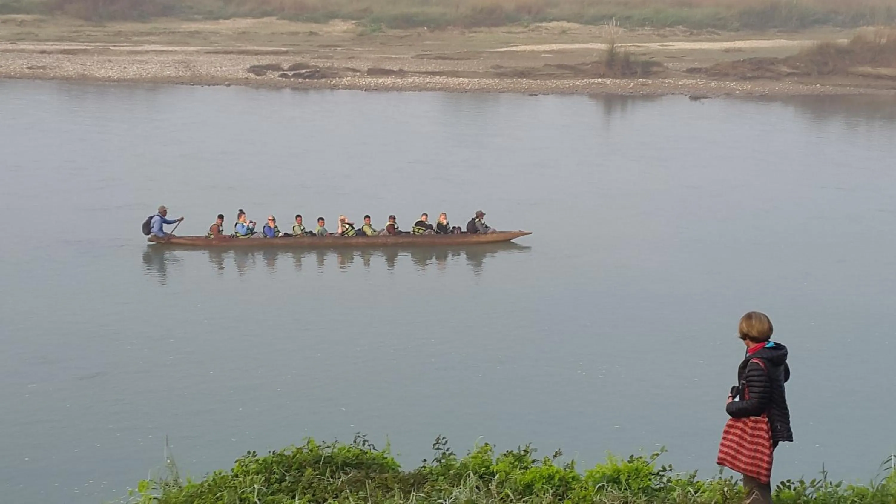 Jungle Wildlife Camp