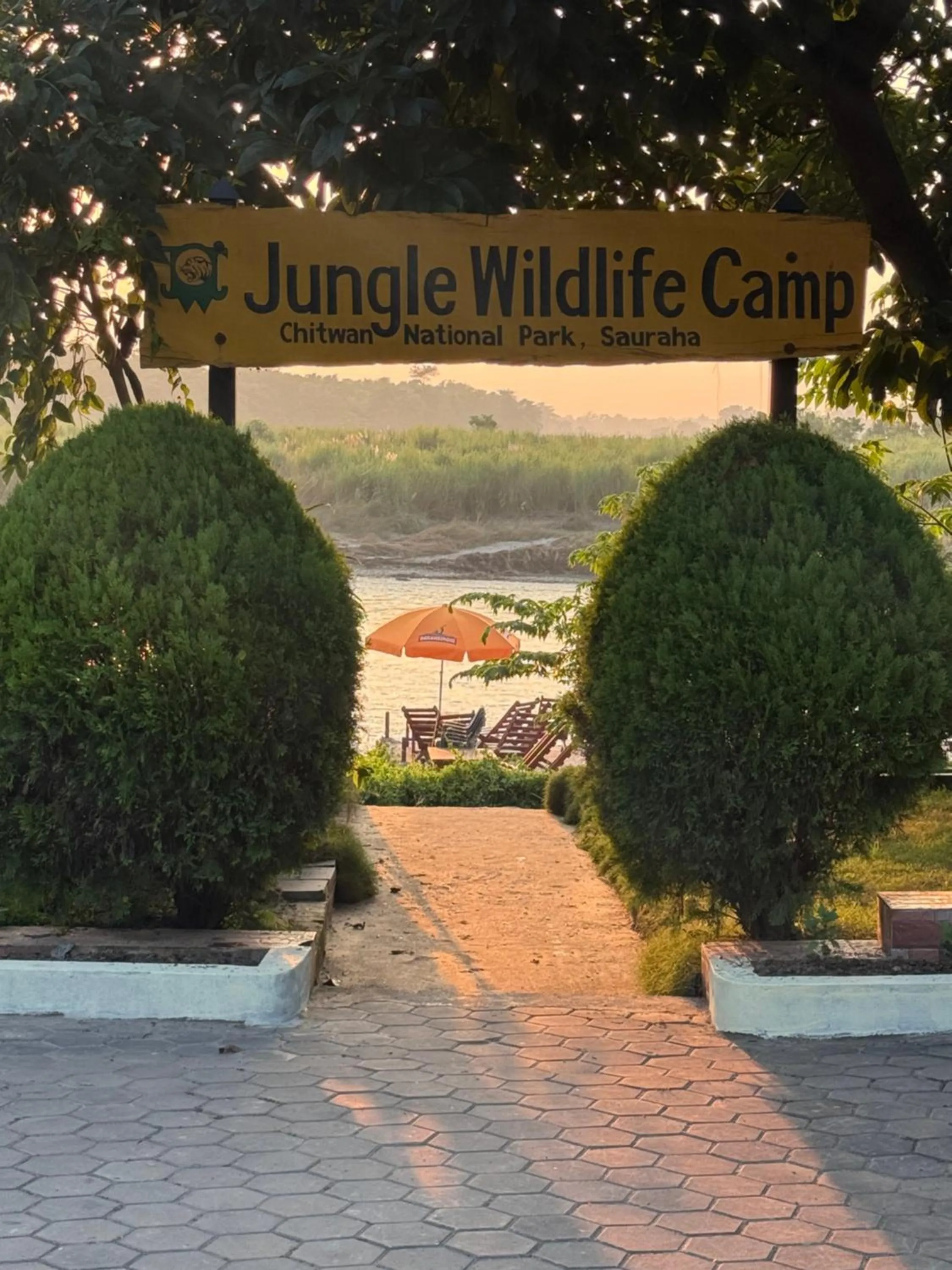Jungle Wildlife Camp