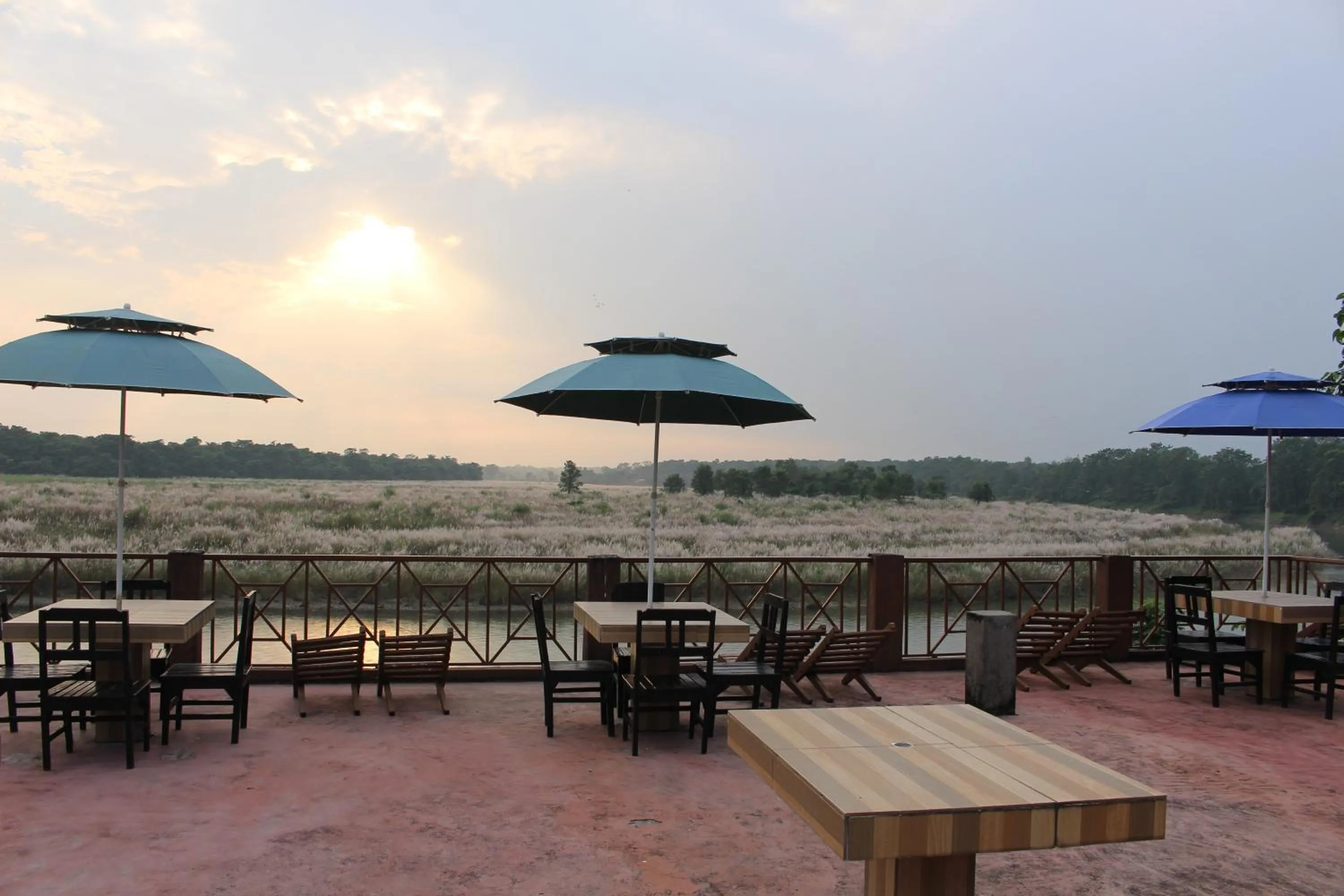 Jungle Wildlife Camp